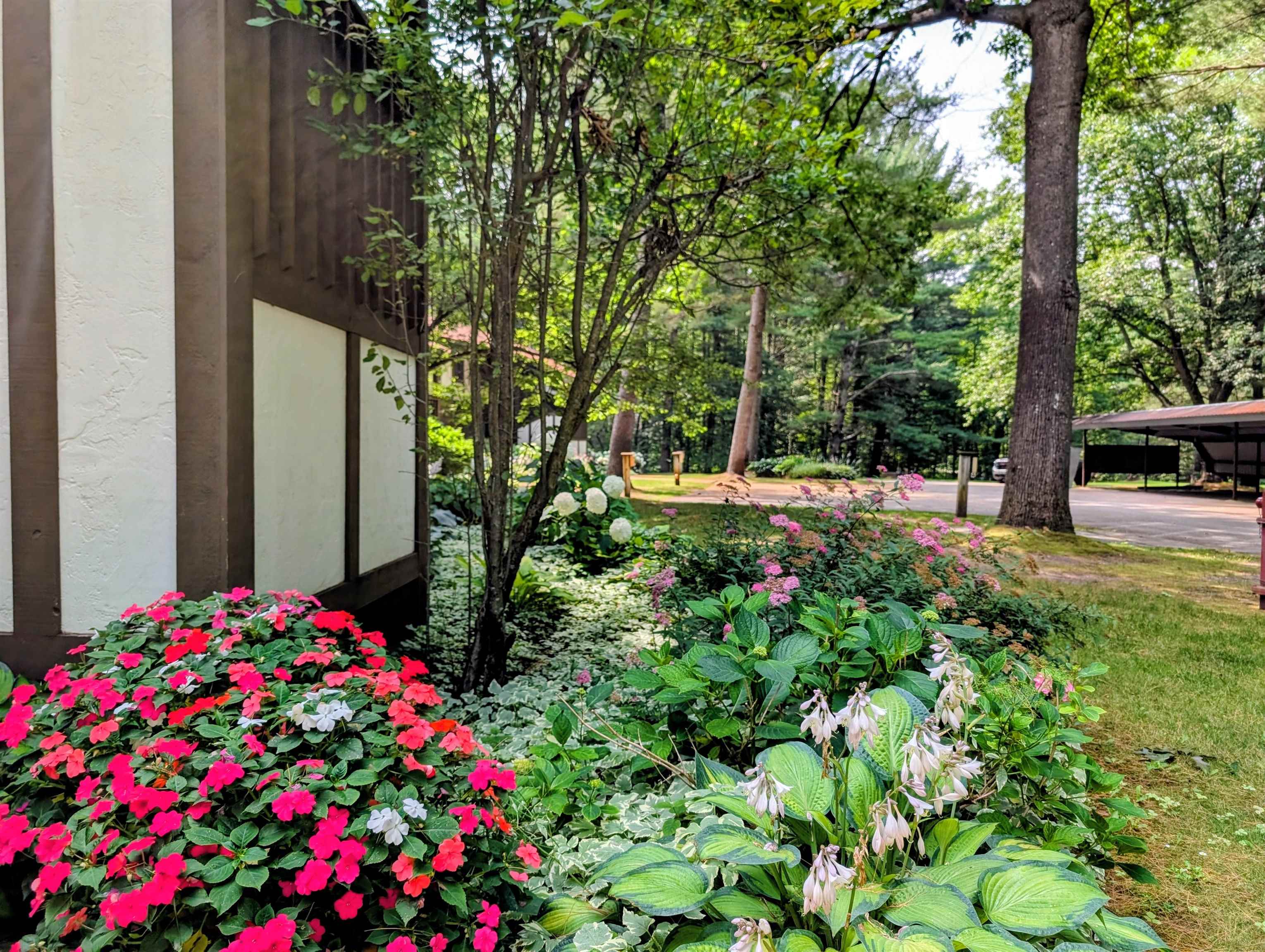 2nd image of 6865 Pinebrook Dr, Bellaire, MI 49615 | MLS# 80068767