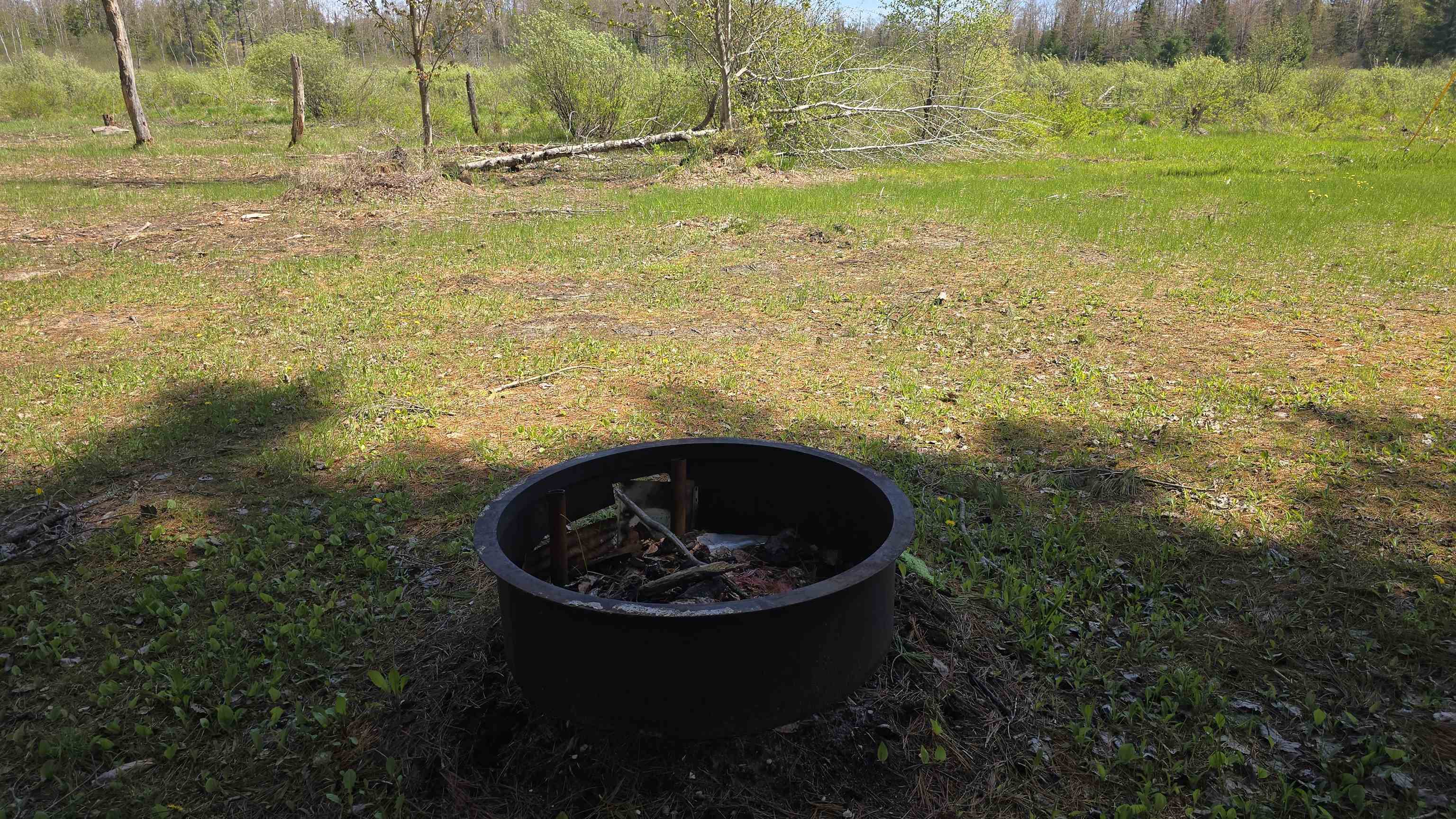 Picture 29