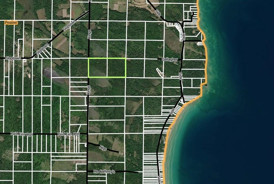 Homes for sale in Peaine Township Charlevoix, MI | Kings Hwy, Peaine Township Charlevoix, MI 49782 | MLS# 78080068983