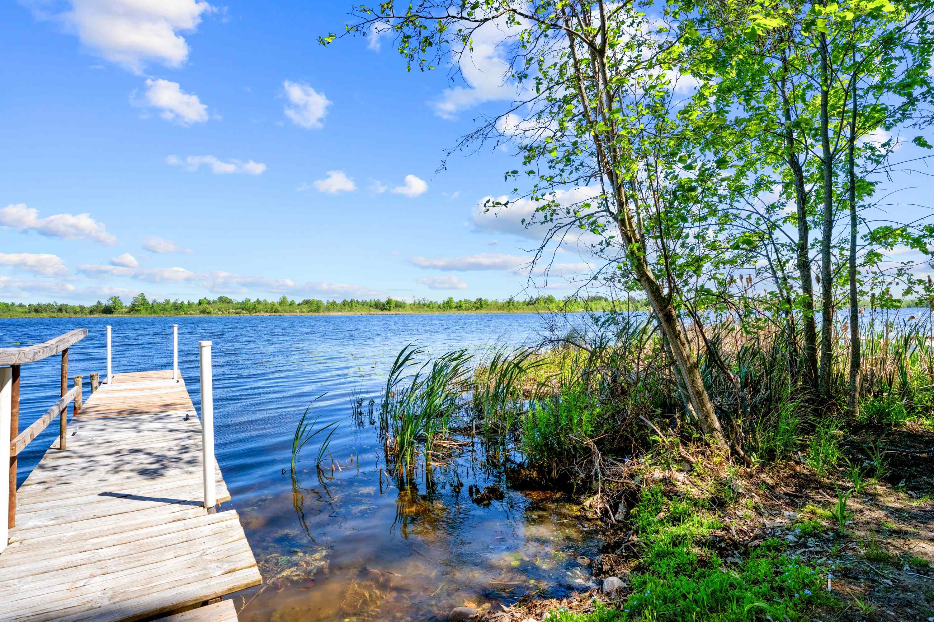 2nd image of 2670 Plainfield Rd, Hale, MI 48739 | MLS# 80069118