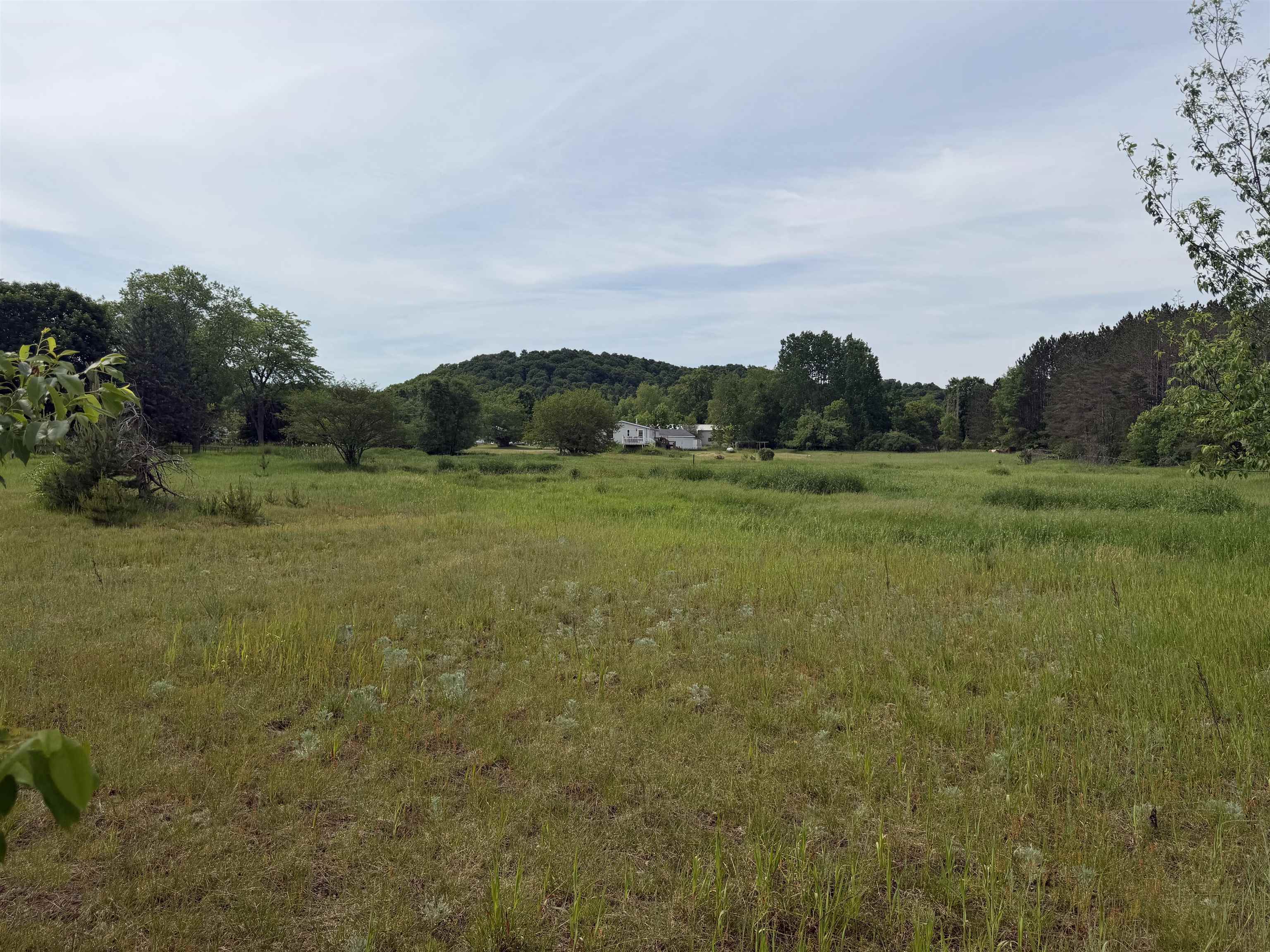 Photo 1 of Land for sale at 00 Pearl St, Thompsonville, MI 49683 | MLS# 80069350 | Listing updated on 2026-09-25
