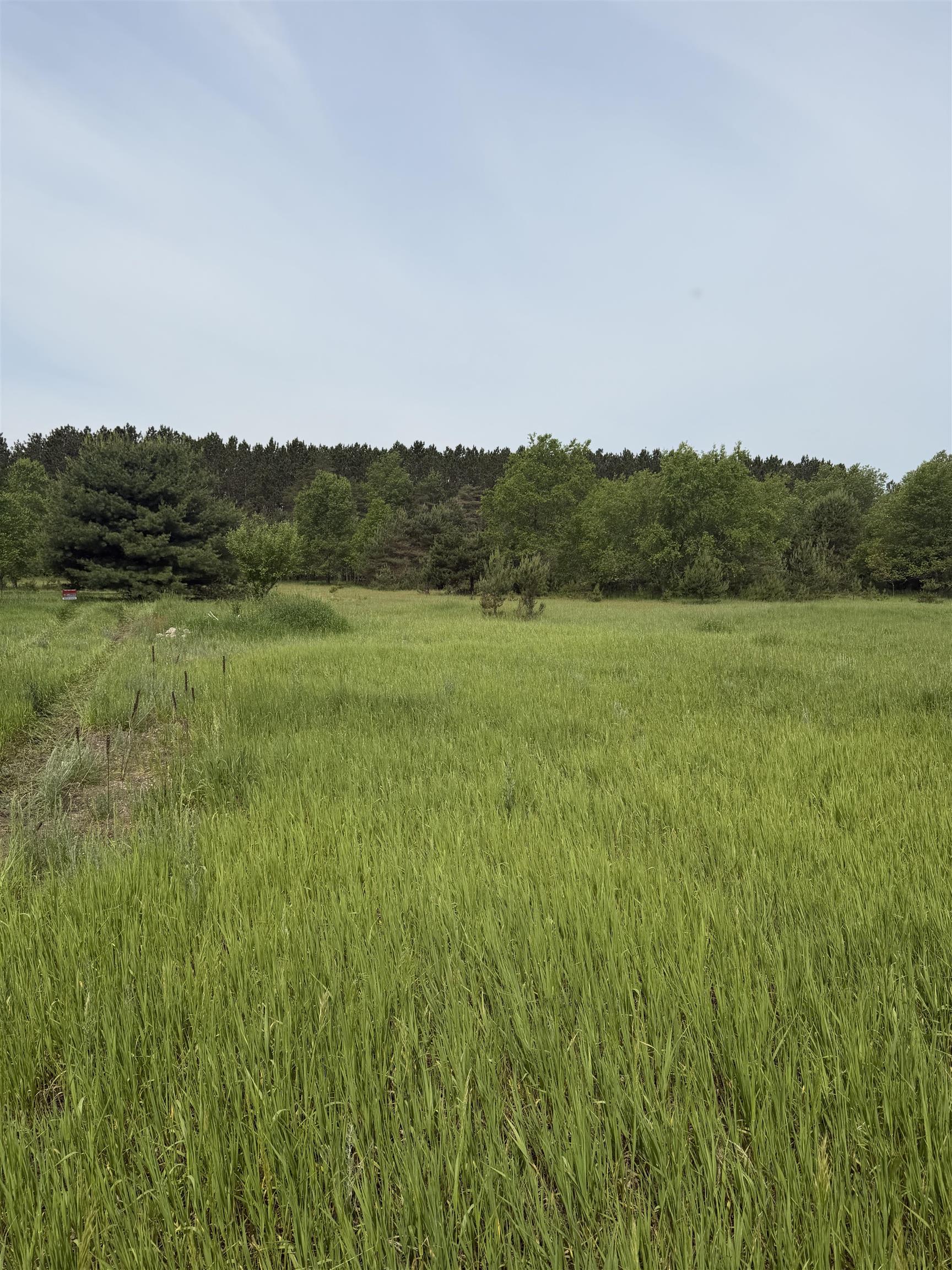 Photo 3 of Land for sale at 00 Pearl St, Thompsonville, MI 49683 | MLS# 80069350 | Listing updated on 2026-09-25
