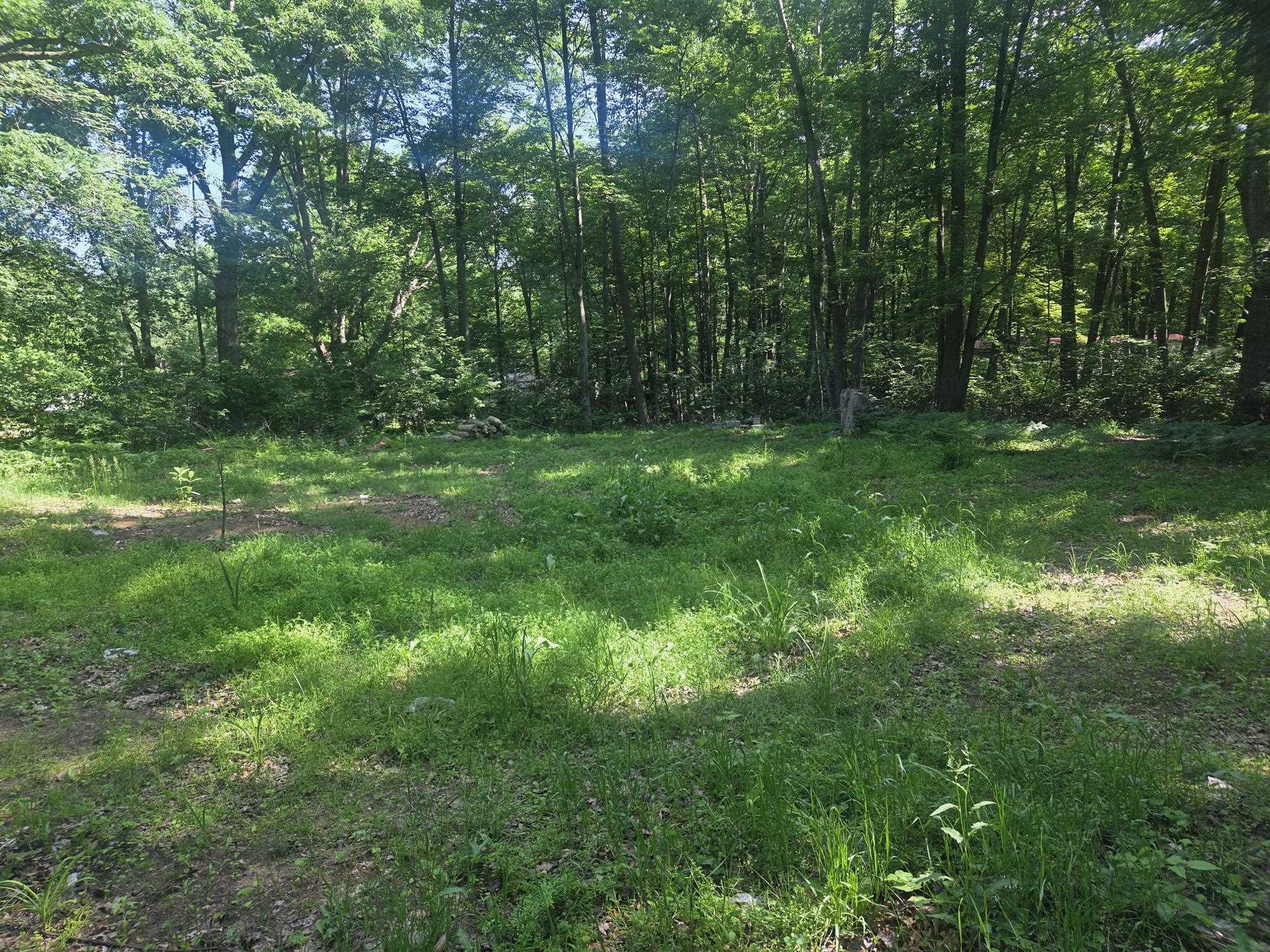 Picture 6