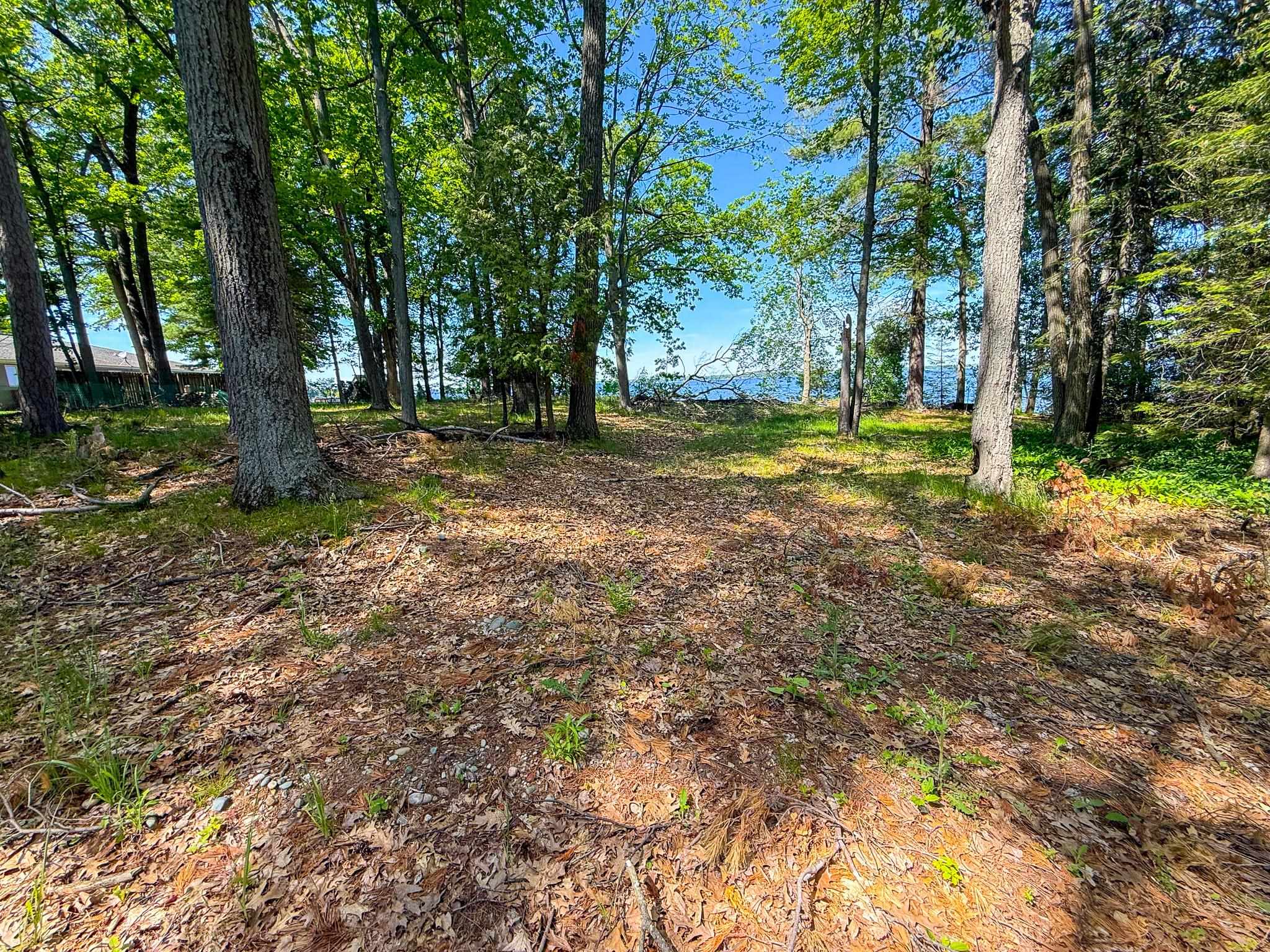 Picture 6