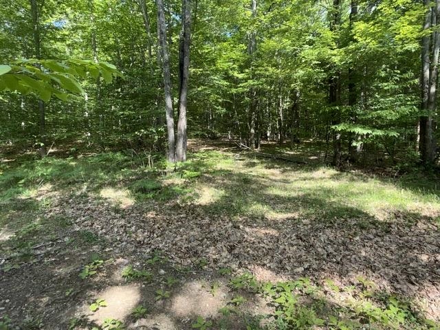 Homes for sale in Lake City, MI | 4933 E Johnson Rd, Lake City, MI 49651 | MLS# 80069635