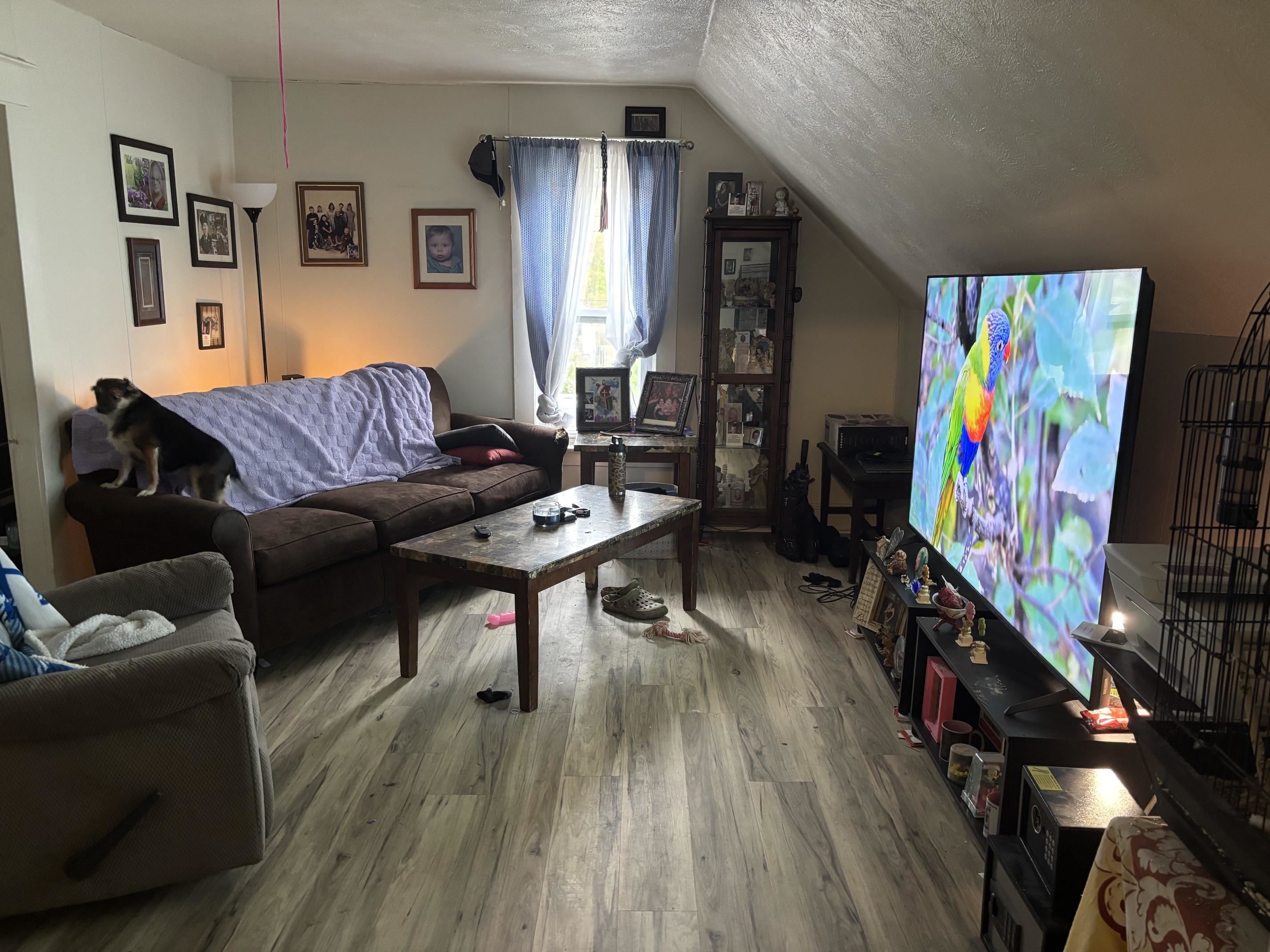 Picture 15