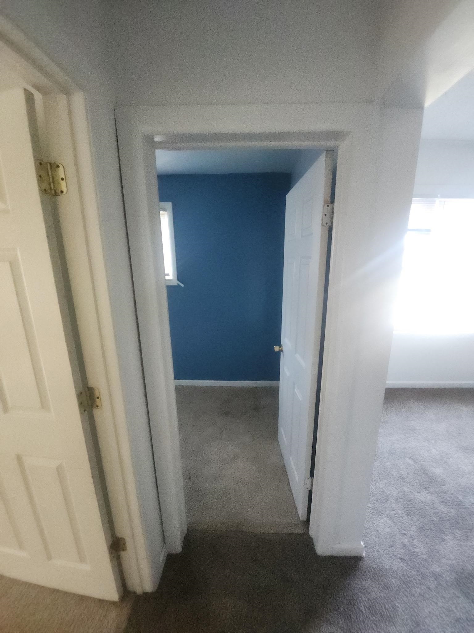 Picture 16