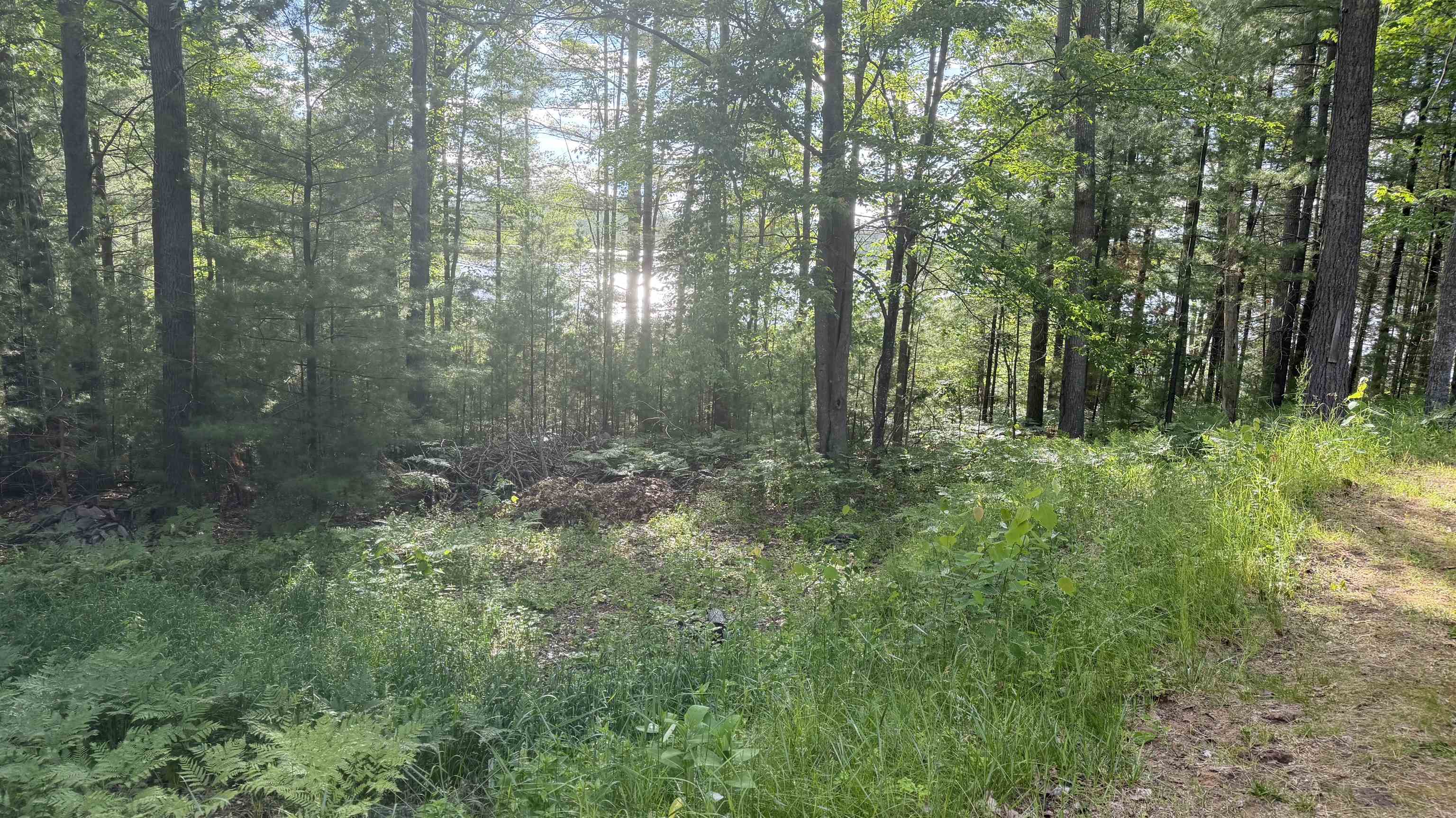 26th image of 14054 W Pointe Rd, Atlanta, MI 49709 | MLS# 77080070064