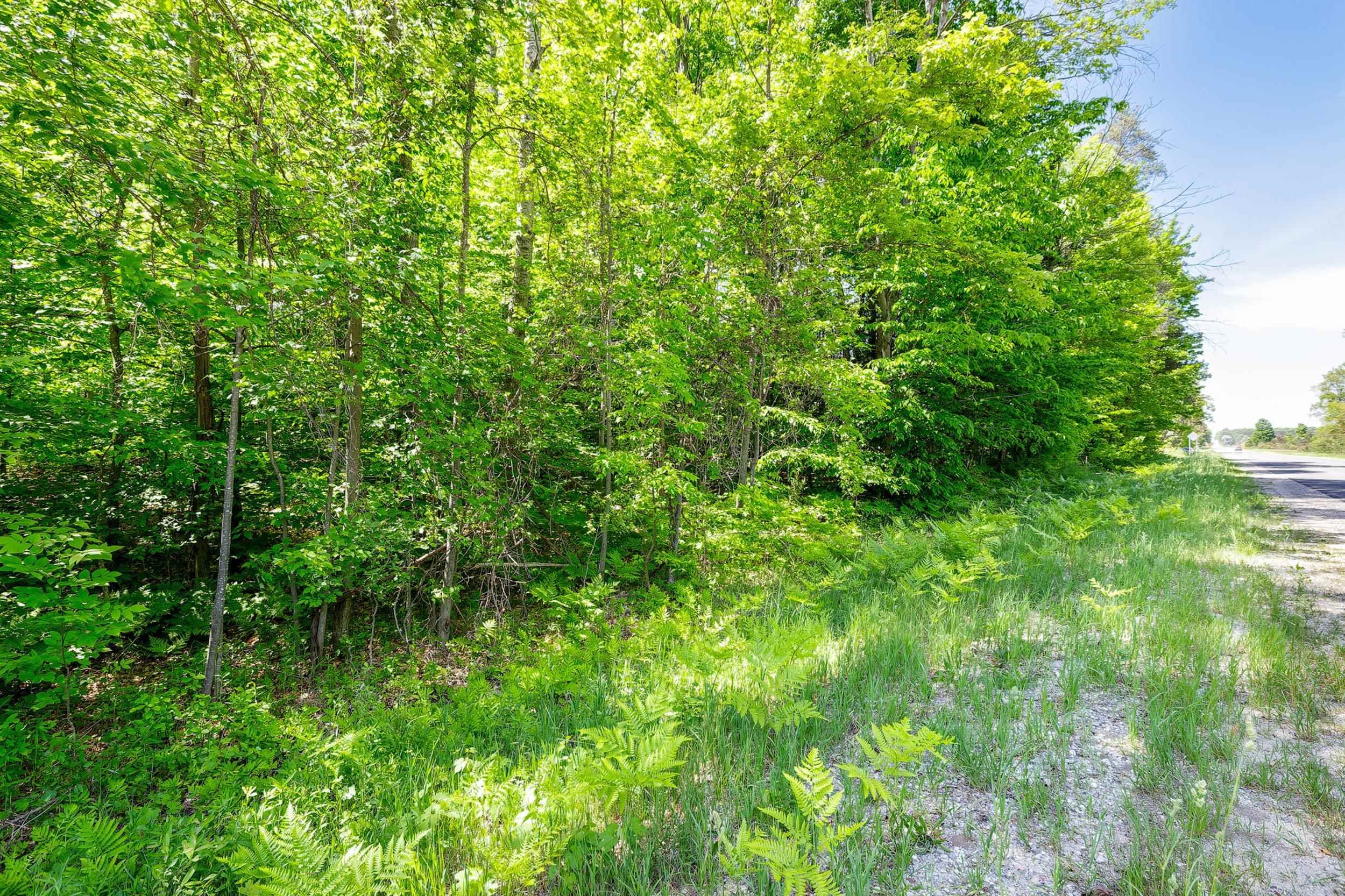 4th image of 7764 S Weldon Rd, Thompsonville, MI 49683 | MLS# 78080070077