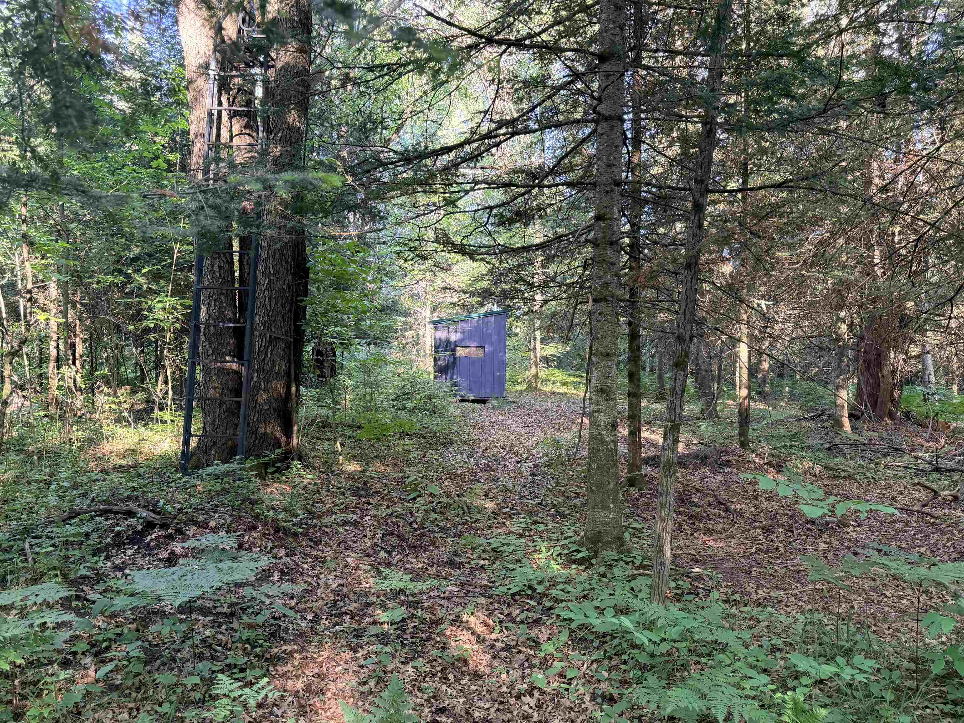 4th image of 16695 20Th Ave, Marion, MI 49665 | MLS# 78080070214