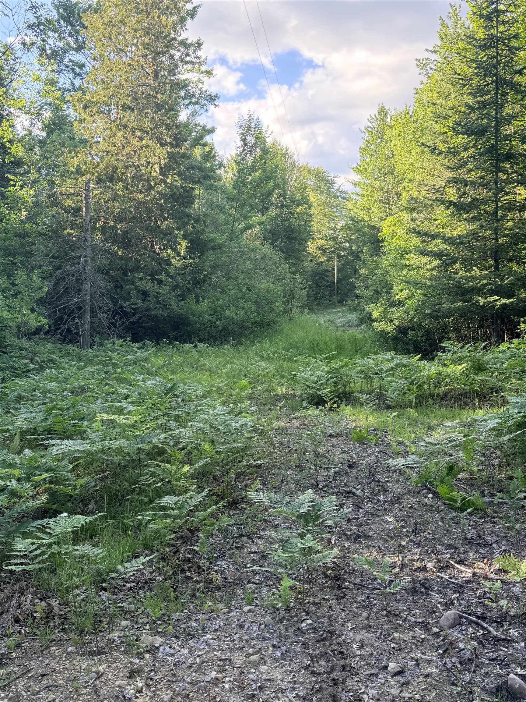 34th image of 16695 20th Ave, Marion, MI 49665 | MLS# 78080070214