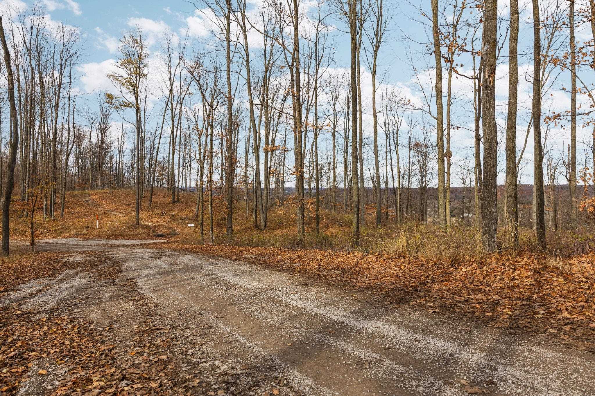 4th image of D Retreats Wy, Clearwater Township Kalkaska, MI 49676 | MLS# 78080070246