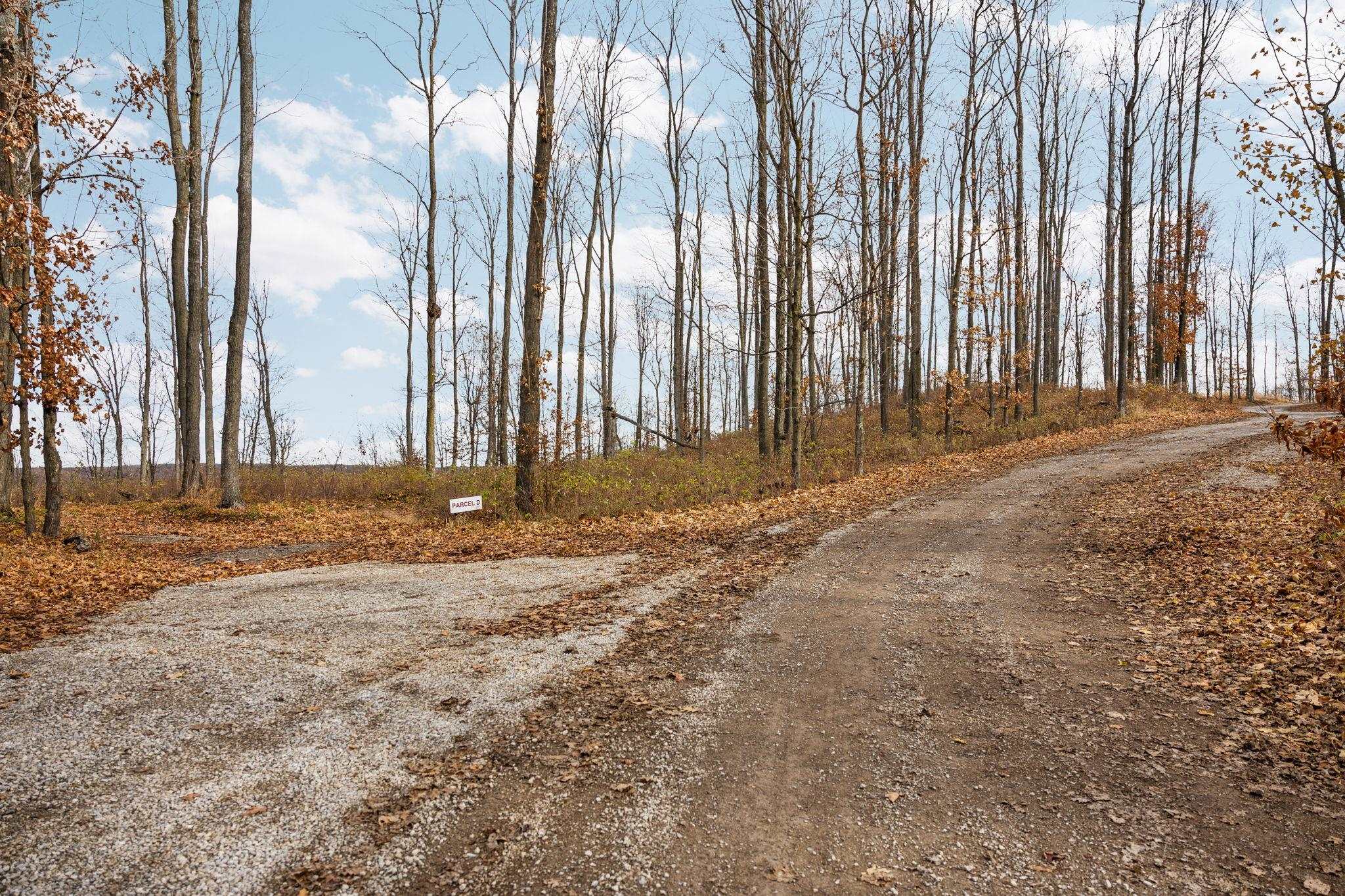 5th image of D Retreats Wy, Clearwater Township Kalkaska, MI 49676 | MLS# 78080070246