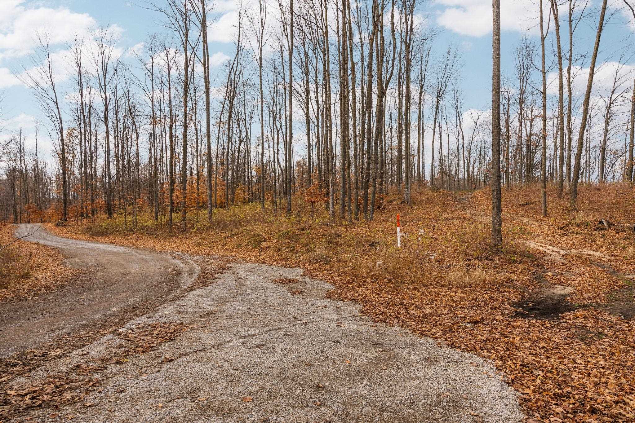 4th image of E Retreats Wy, Alden, MI 49612 | MLS# 78080070247