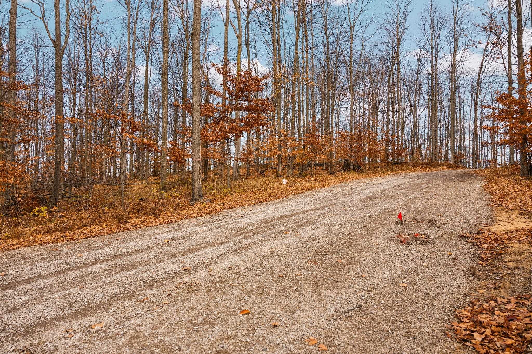 4th image of F Retreats Wy, Clearwater Township Kalkaska, MI 49676 | MLS# 78080070248