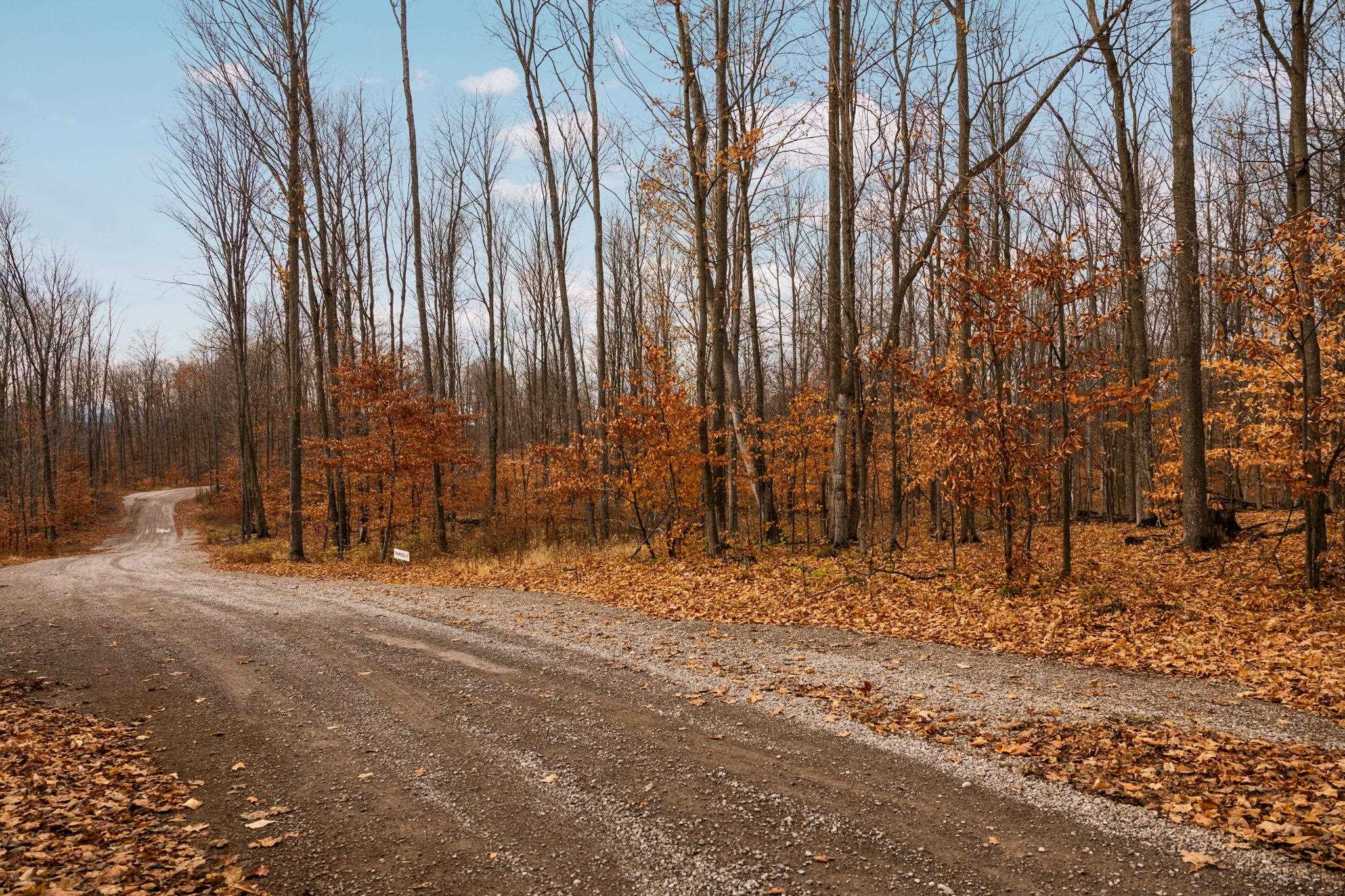 5th image of F Retreats Wy, Clearwater Township Kalkaska, MI 49676 | MLS# 78080070248