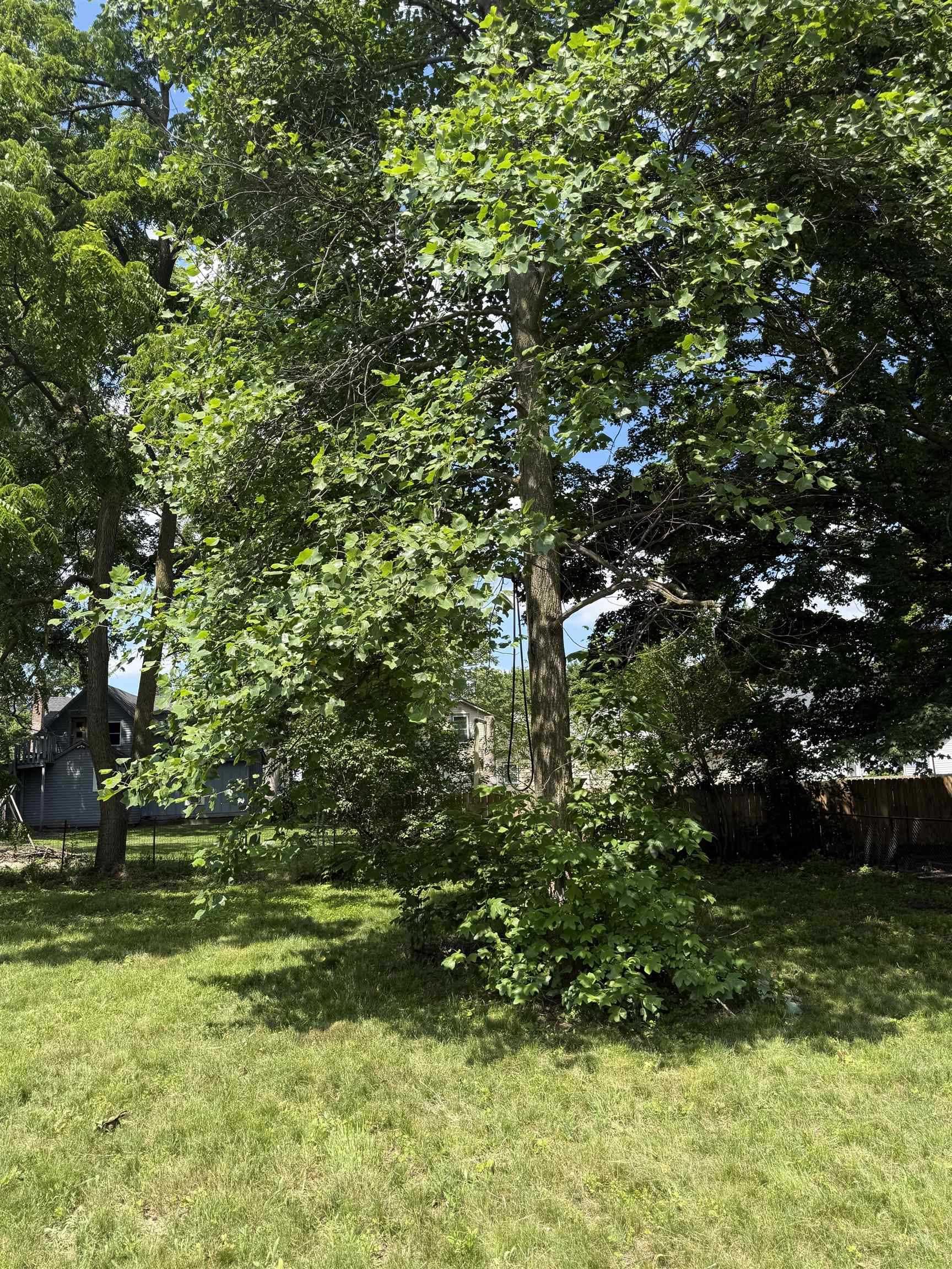 5th image of 643 N Hickory St, Owosso, MI 48867 | MLS# 79080070383
