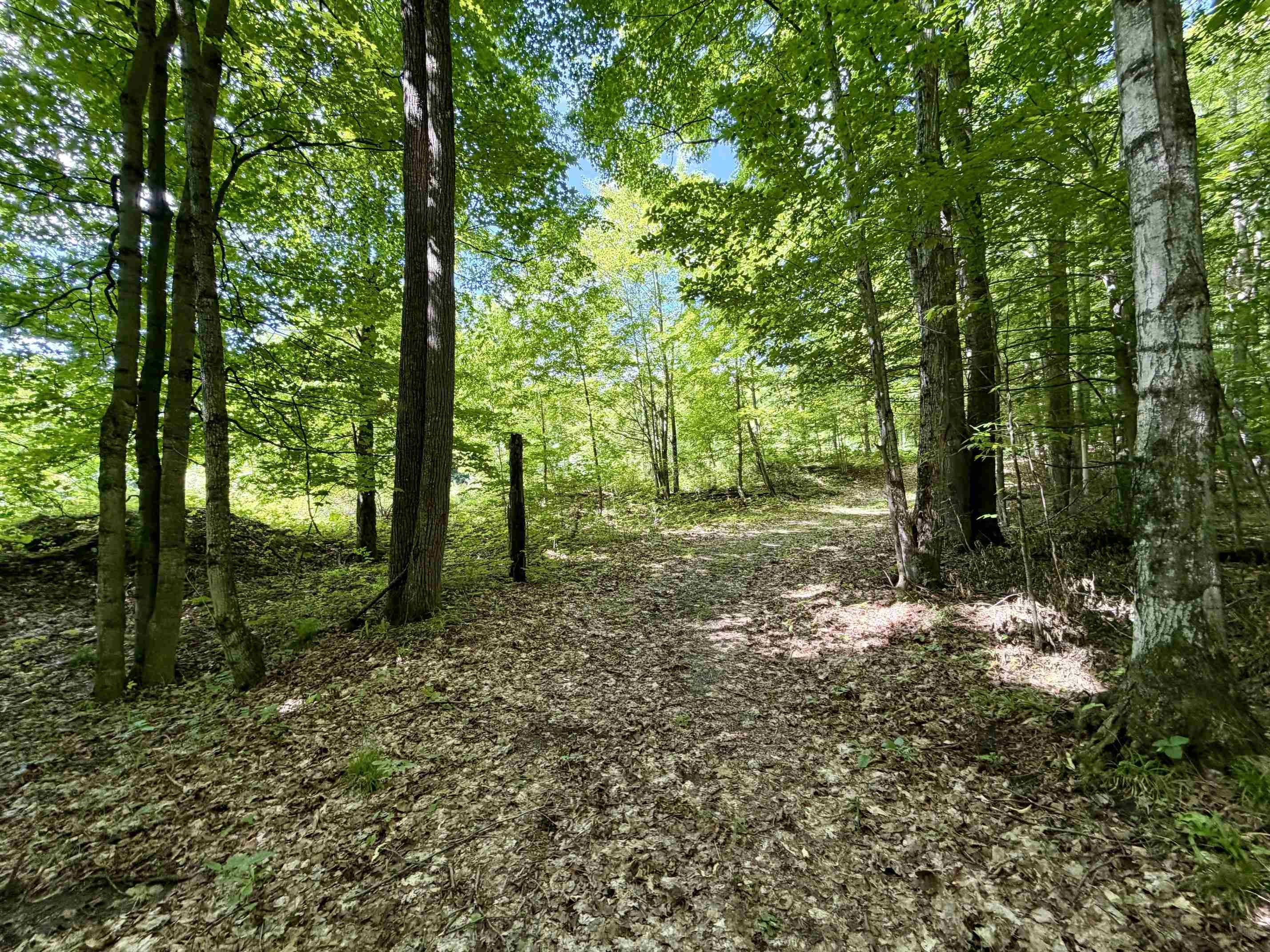 1st image of 10 Broken Club Dr, Bellaire, MI 49615 | MLS# 78080070394