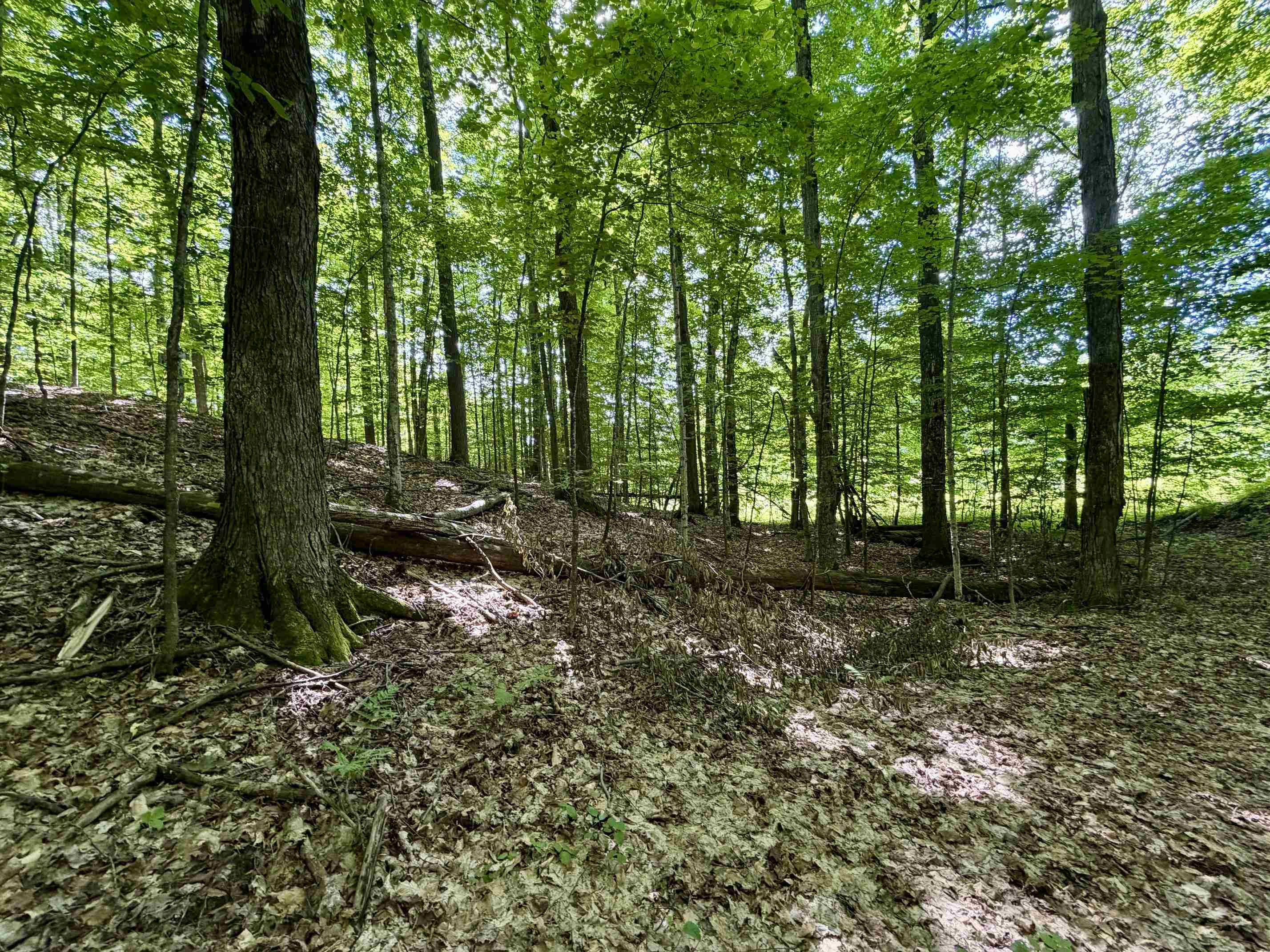 3rd image of 10 Broken Club Dr, Bellaire, MI 49615 | MLS# 78080070394