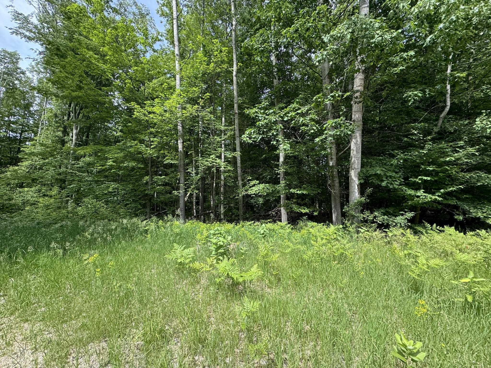 1st image of Knoll One Dr, Le Roy, MI 49655 | MLS# 78080070404