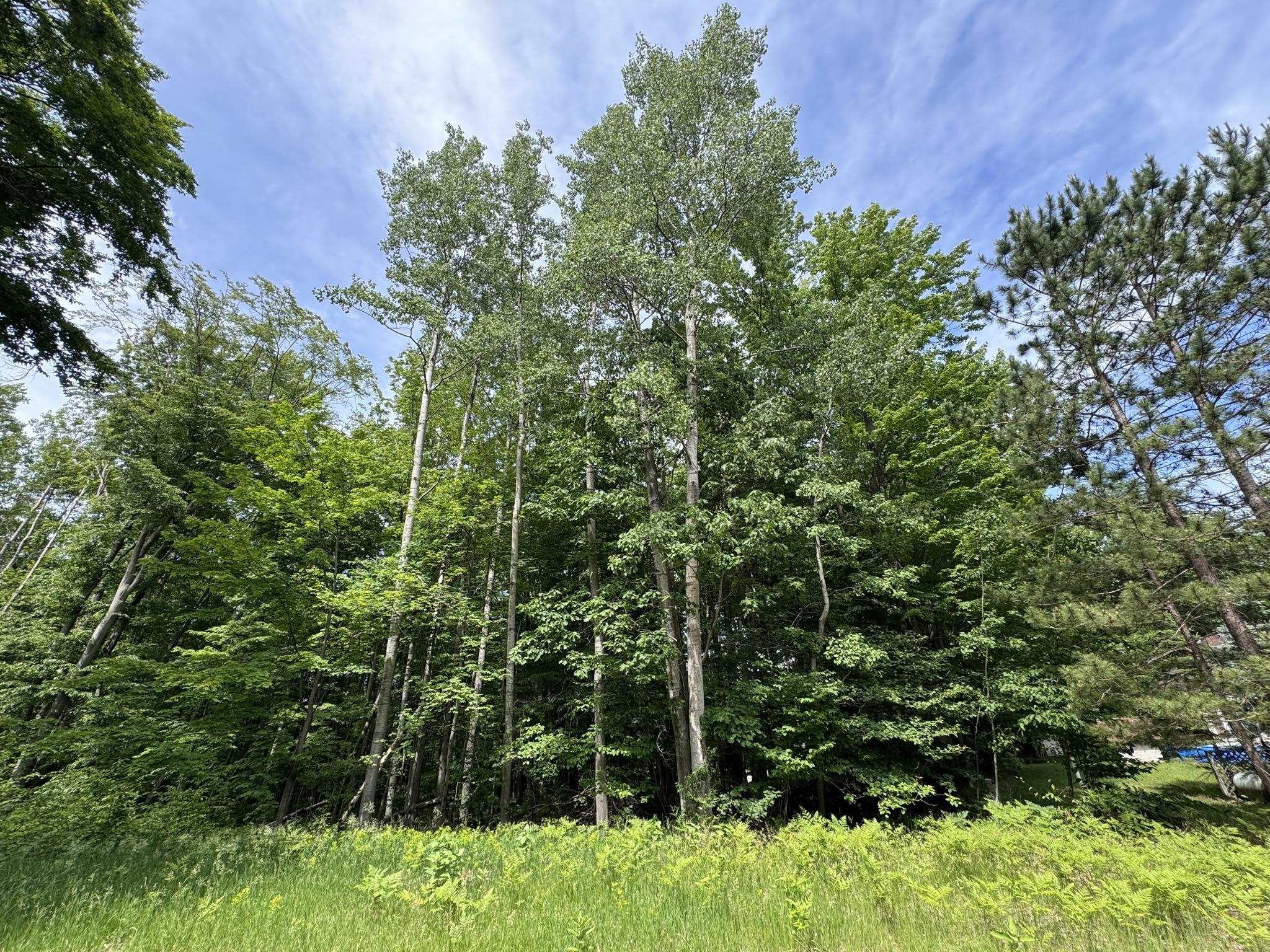 4th image of Knoll One Dr, Le Roy, MI 49655 | MLS# 78080070404