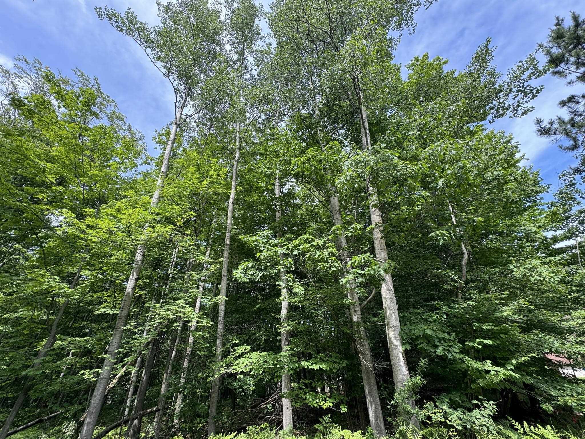 5th image of Knoll One Dr, Le Roy, MI 49655 | MLS# 78080070404