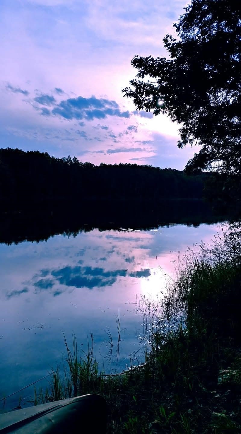 3rd image of 16568 Wagner Rd, Lake Ann, MI 49650 | MLS# 80070462
