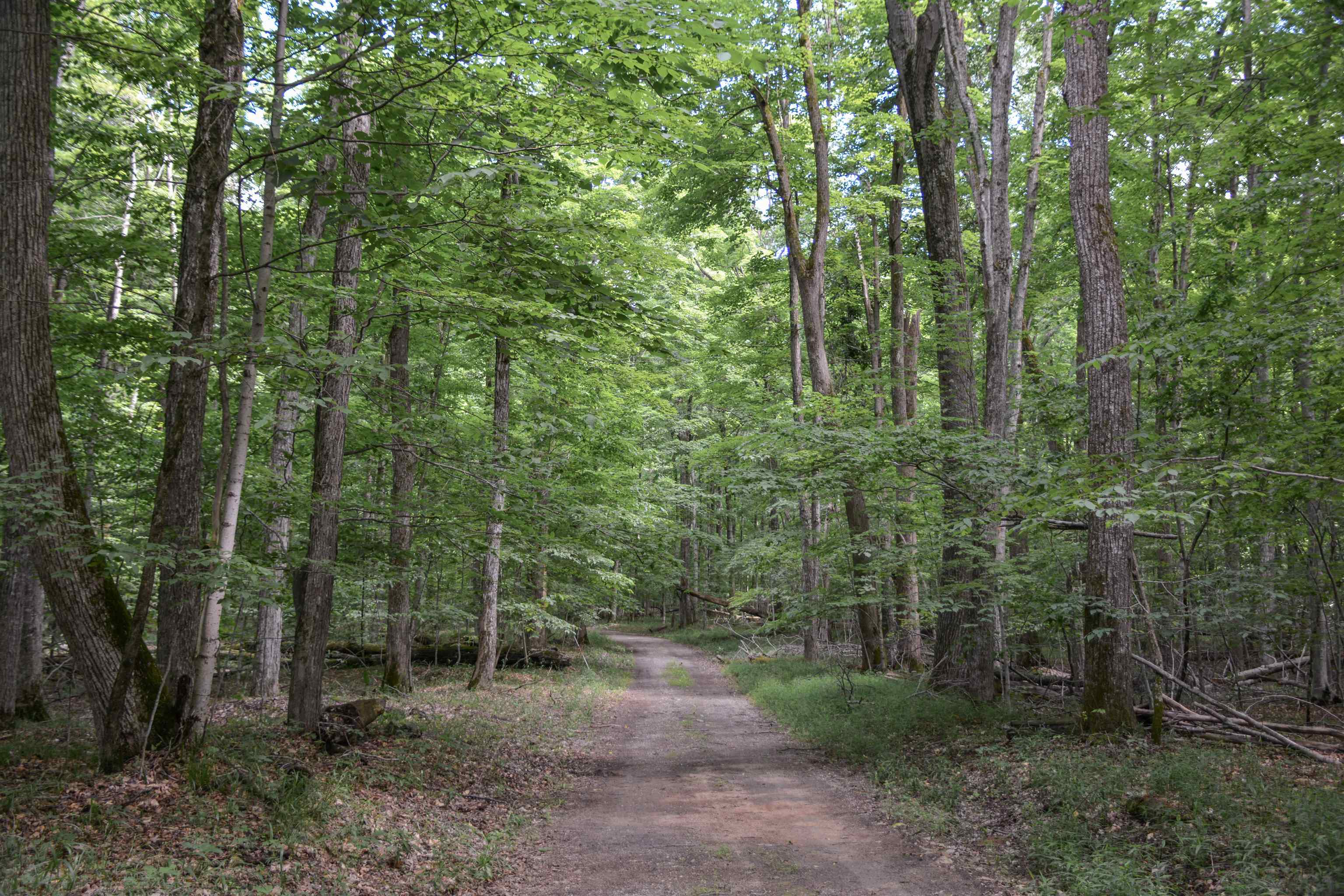 4th image of 16568 Wagner Rd, Lake Ann, MI 49650 | MLS# 80070462