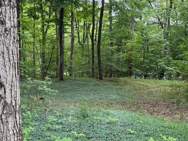 5th image of 16568 Wagner Rd, Lake Ann, MI 49650 | MLS# 80070462