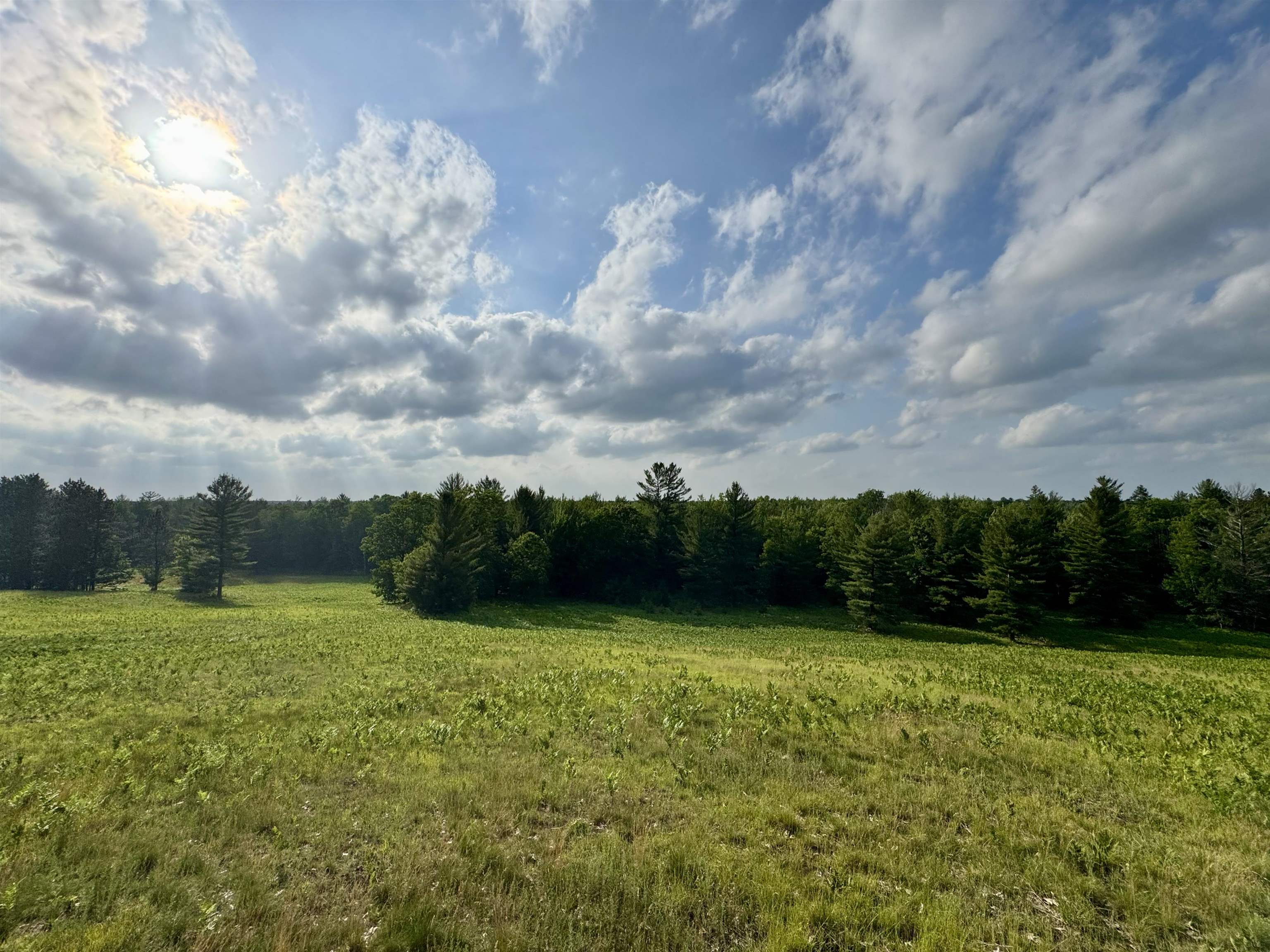 1st image of 4264 Sw Bald Eagles Vw, Boardman Township Kalkaska, MI 49680 | MLS# 78080070480