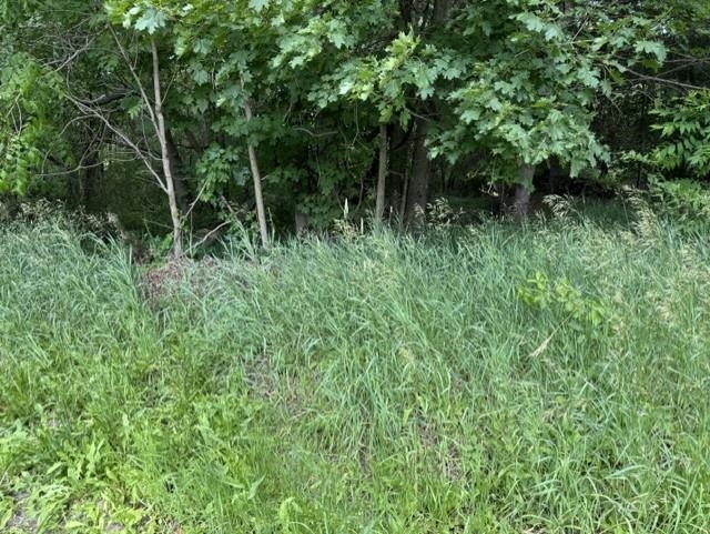 2nd image of Tbd N Lincoln, Stanton City Montcalm, MI 48888 | MLS# 79080070482