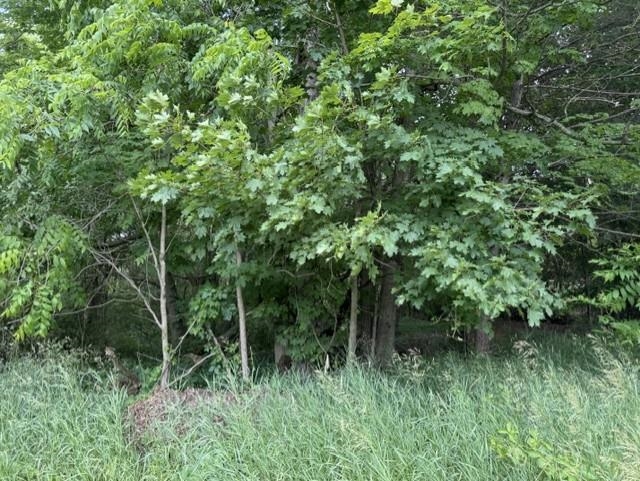 3rd image of Tbd N Lincoln, Stanton City Montcalm, MI 48888 | MLS# 79080070482