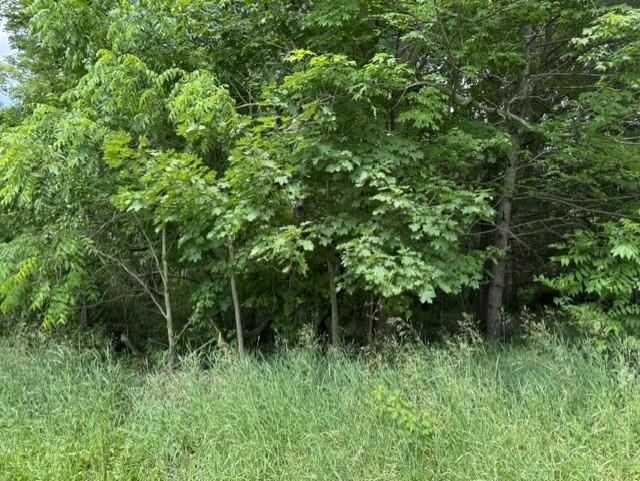 5th image of Tbd N Lincoln, Stanton City Montcalm, MI 48888 | MLS# 79080070482