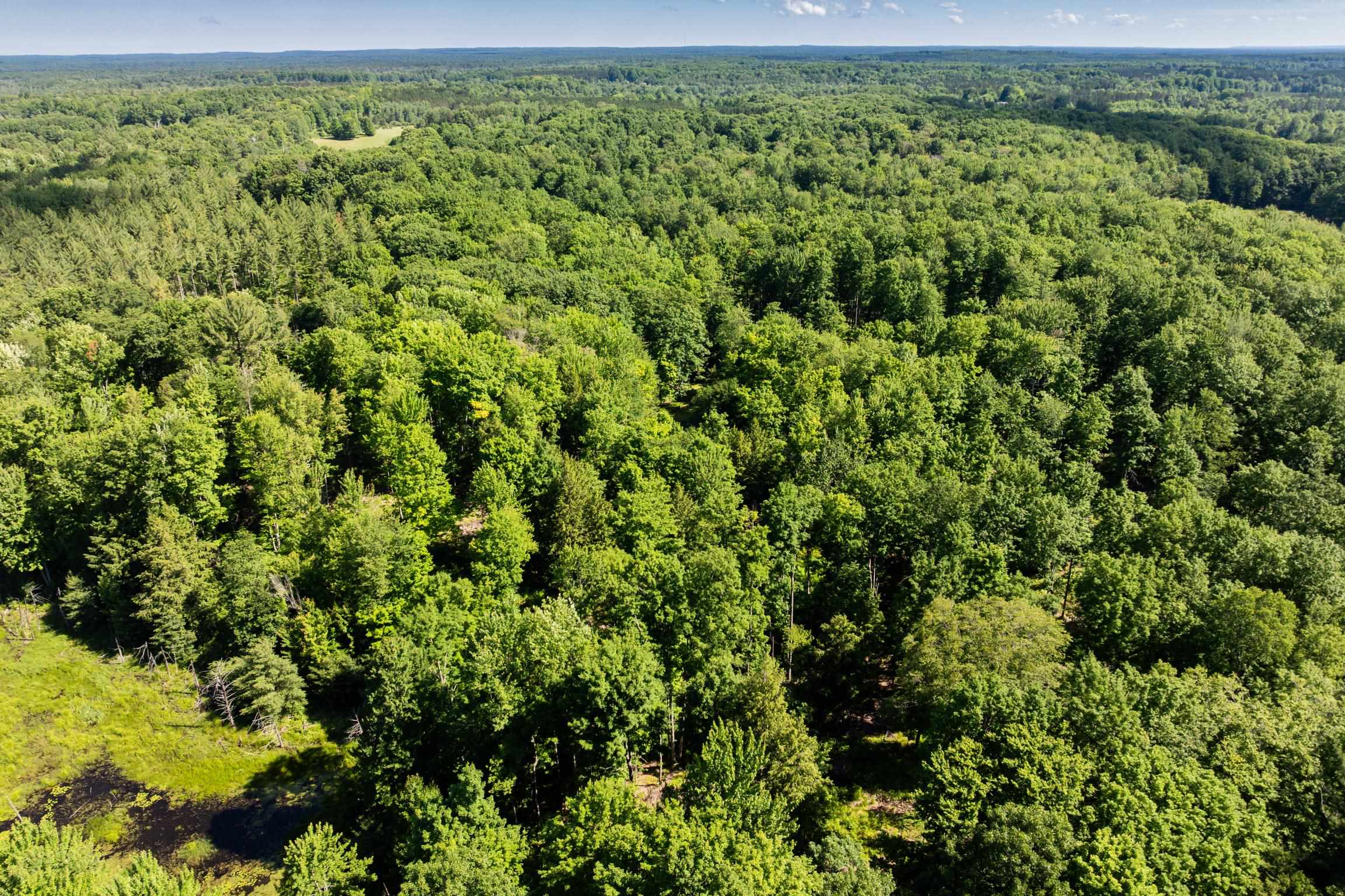 3rd image of Tbd Lake, Fife Lake Township Grand Traverse, MI 49633 | MLS# 78080070523