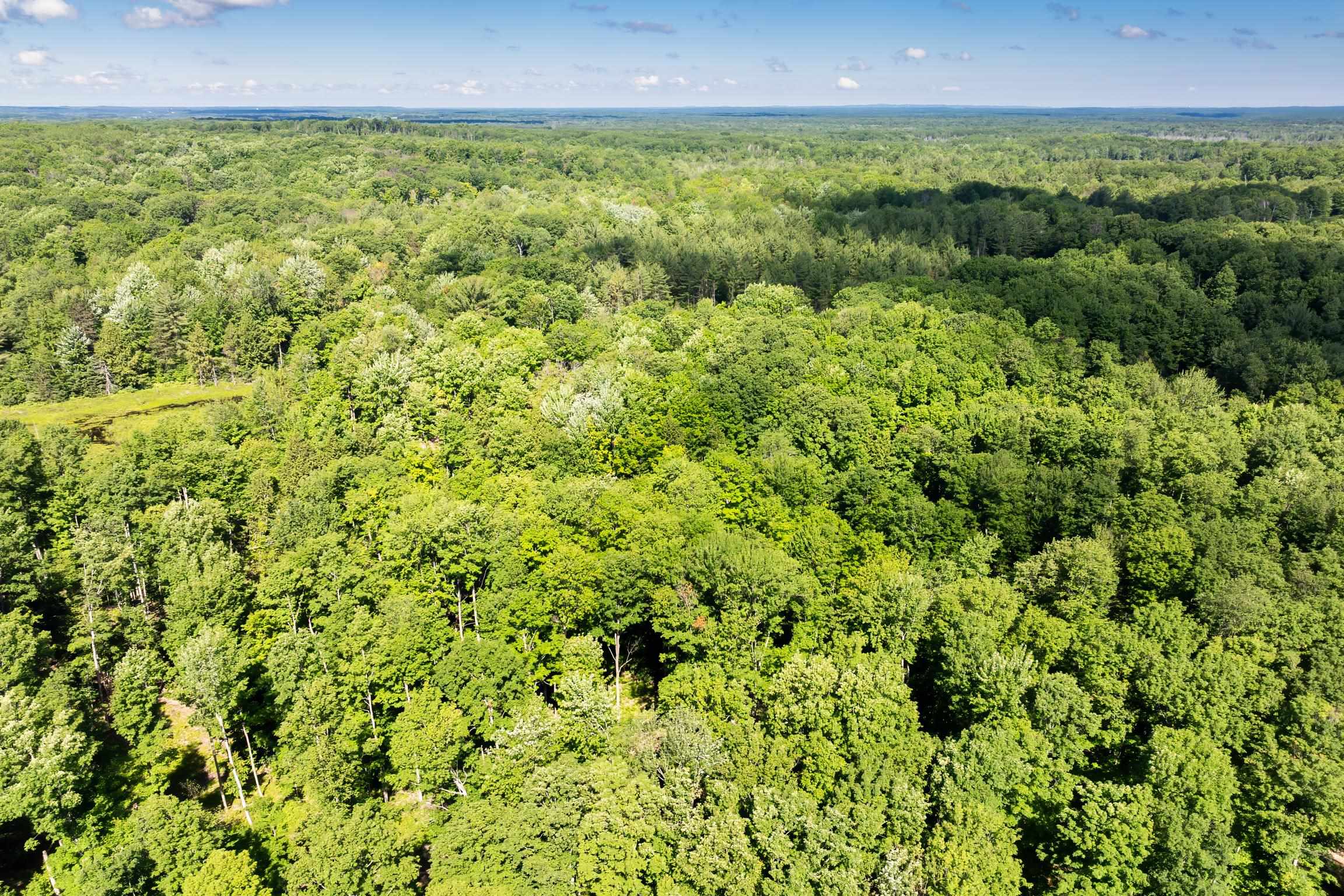 4th image of Tbd Lake, Fife Lake Township Grand Traverse, MI 49633 | MLS# 78080070523