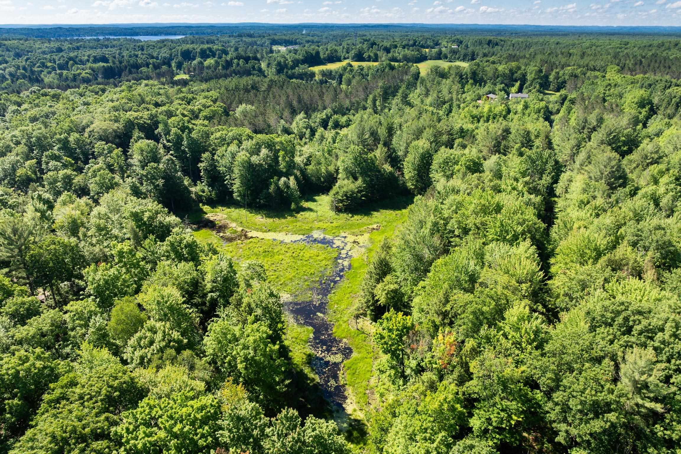 54th image of Tbd Lake, Fife Lake Township Grand Traverse, MI 49633 | MLS# 78080070523
