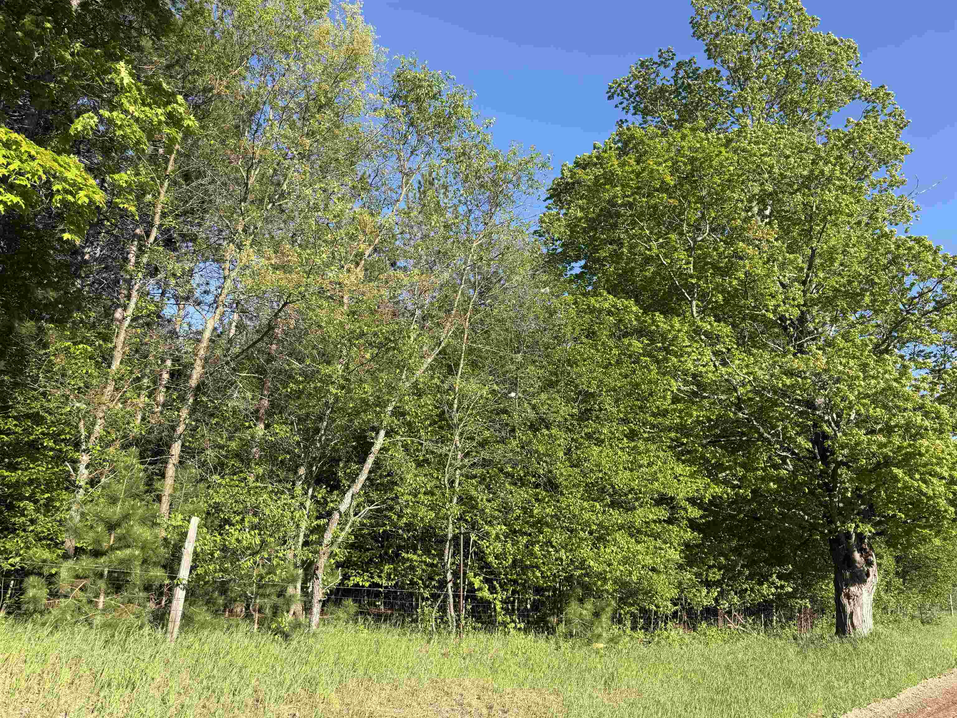 4th image of Lot E 908 Acre Lake, Union Township Grand Traverse, MI 49633 | MLS# 78080070630