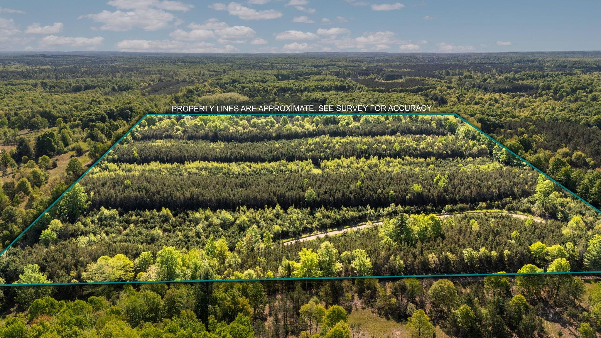Homes for sale in Fife Lake, MI | Lot D 831 Acre Lake, Fife Lake, MI 49633 | MLS# 80070631