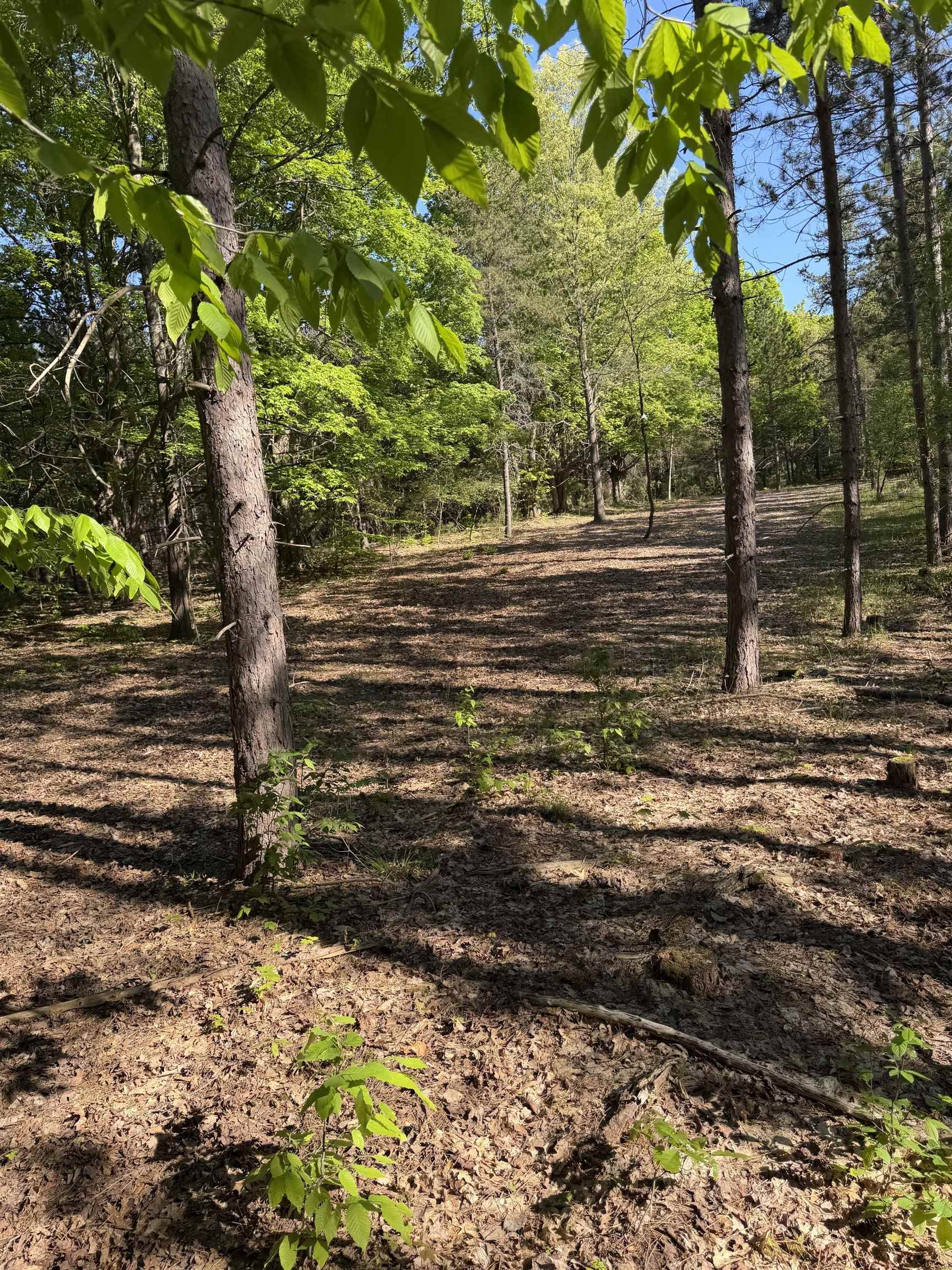 Homes for sale in Fife Lake, MI | Lot D 831 Acre Lake, Fife Lake, MI 49633 | MLS# 80070631
