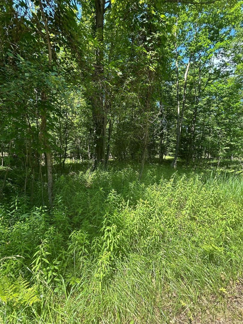 1st image of S Point Lookout Rd, Au Gres, MI 48703 | MLS# 77080070649