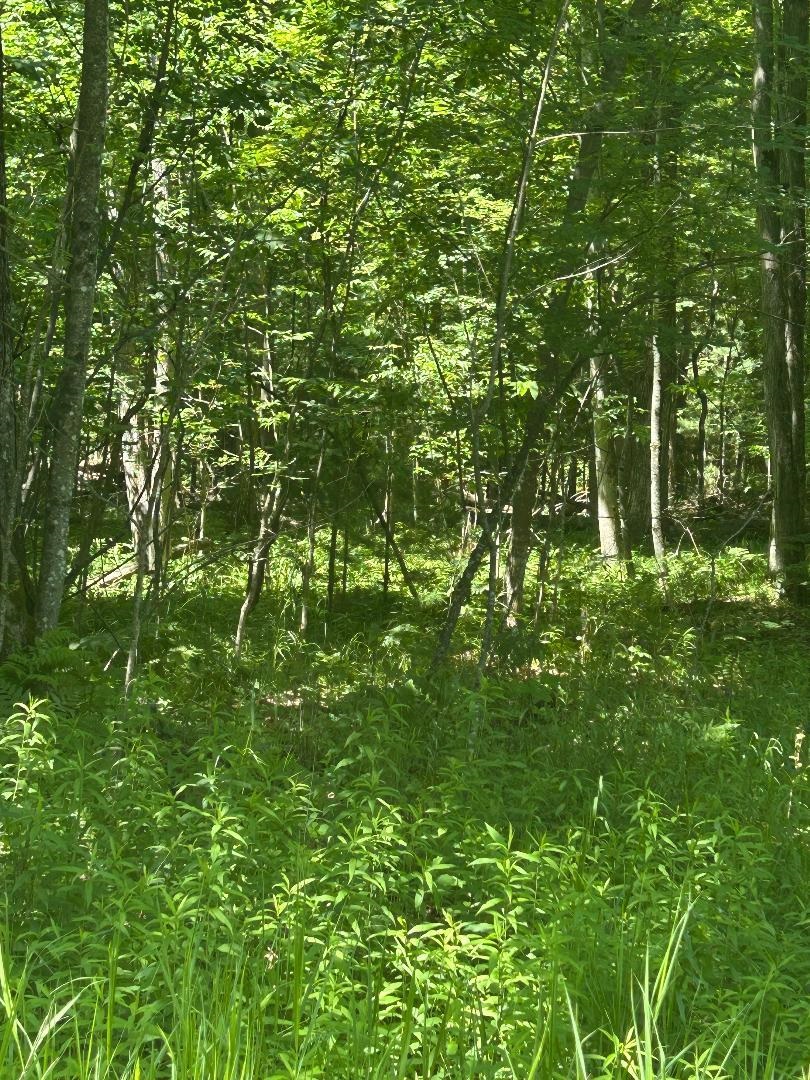 3rd image of S Point Lookout Rd, Au Gres, MI 48703 | MLS# 77080070649