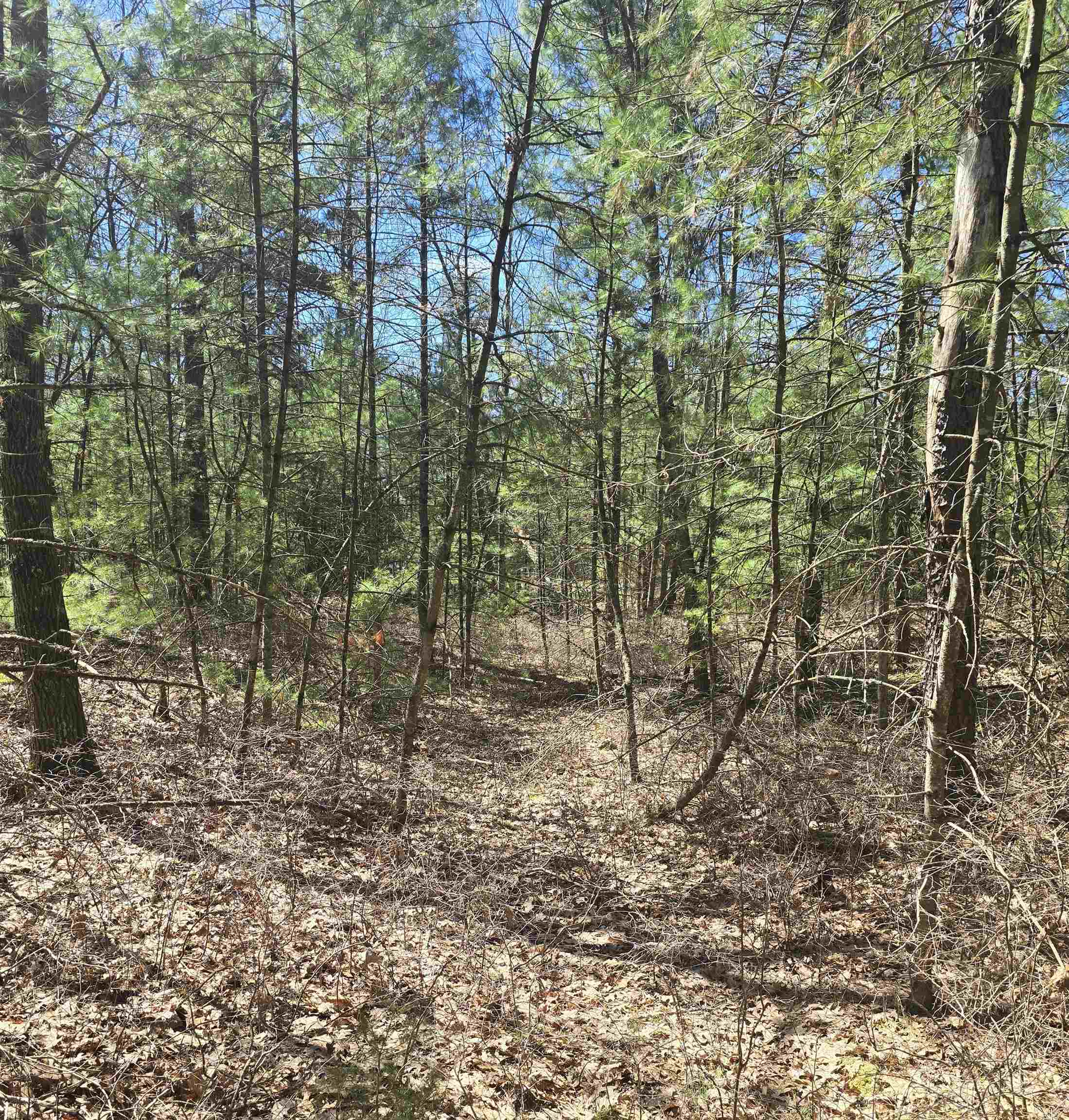 1st image of 4699 Johnson Rd, Oscoda, MI 48750 | MLS# 77080070719