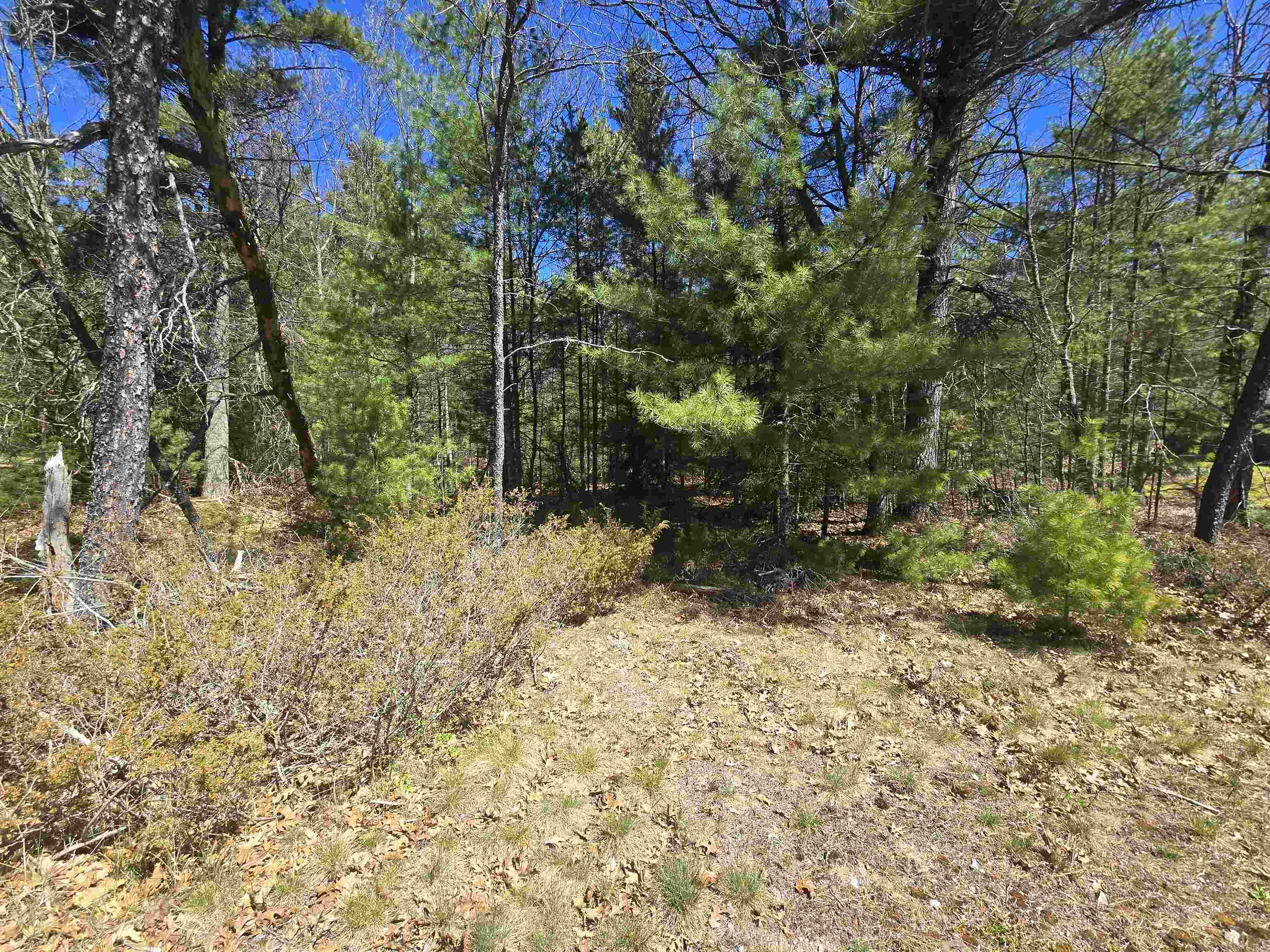 3rd image of 4699 Johnson Rd, Oscoda, MI 48750 | MLS# 77080070719