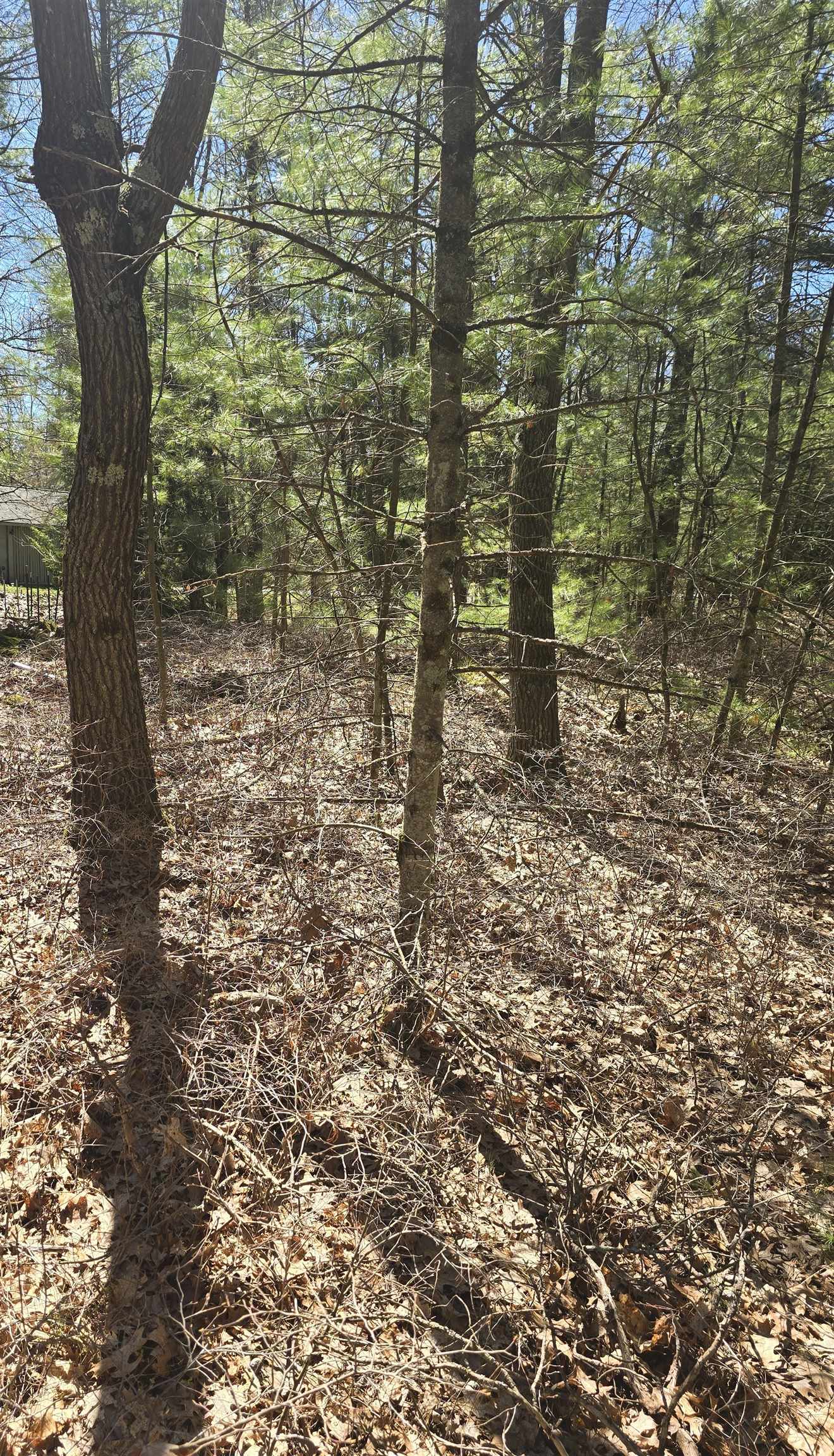 6th image of 4699 Johnson Rd, Oscoda, MI 48750 | MLS# 77080070719