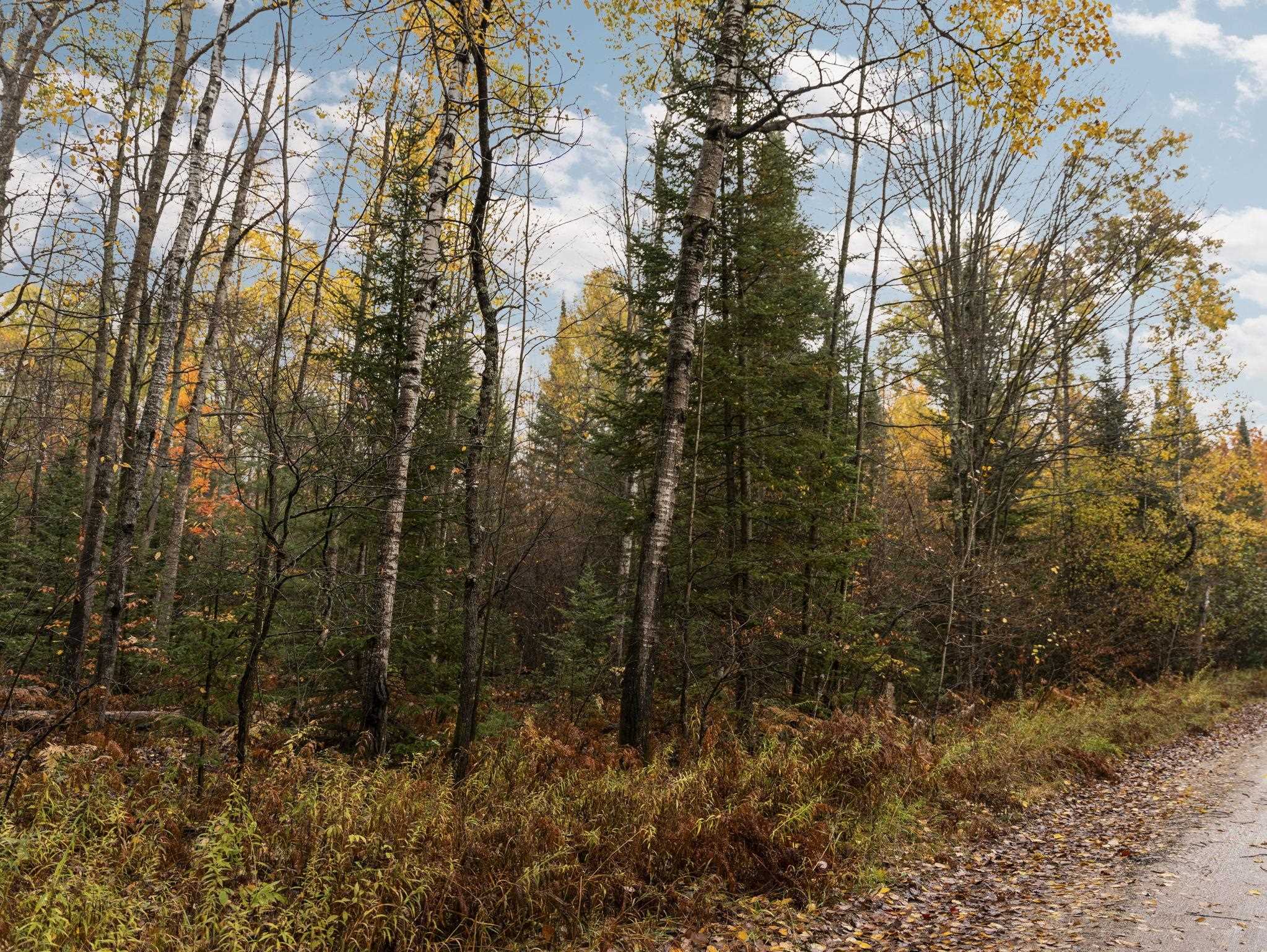 18th image of A Irvin Rd, Cadillac, MI 49601 | MLS# 78080070754