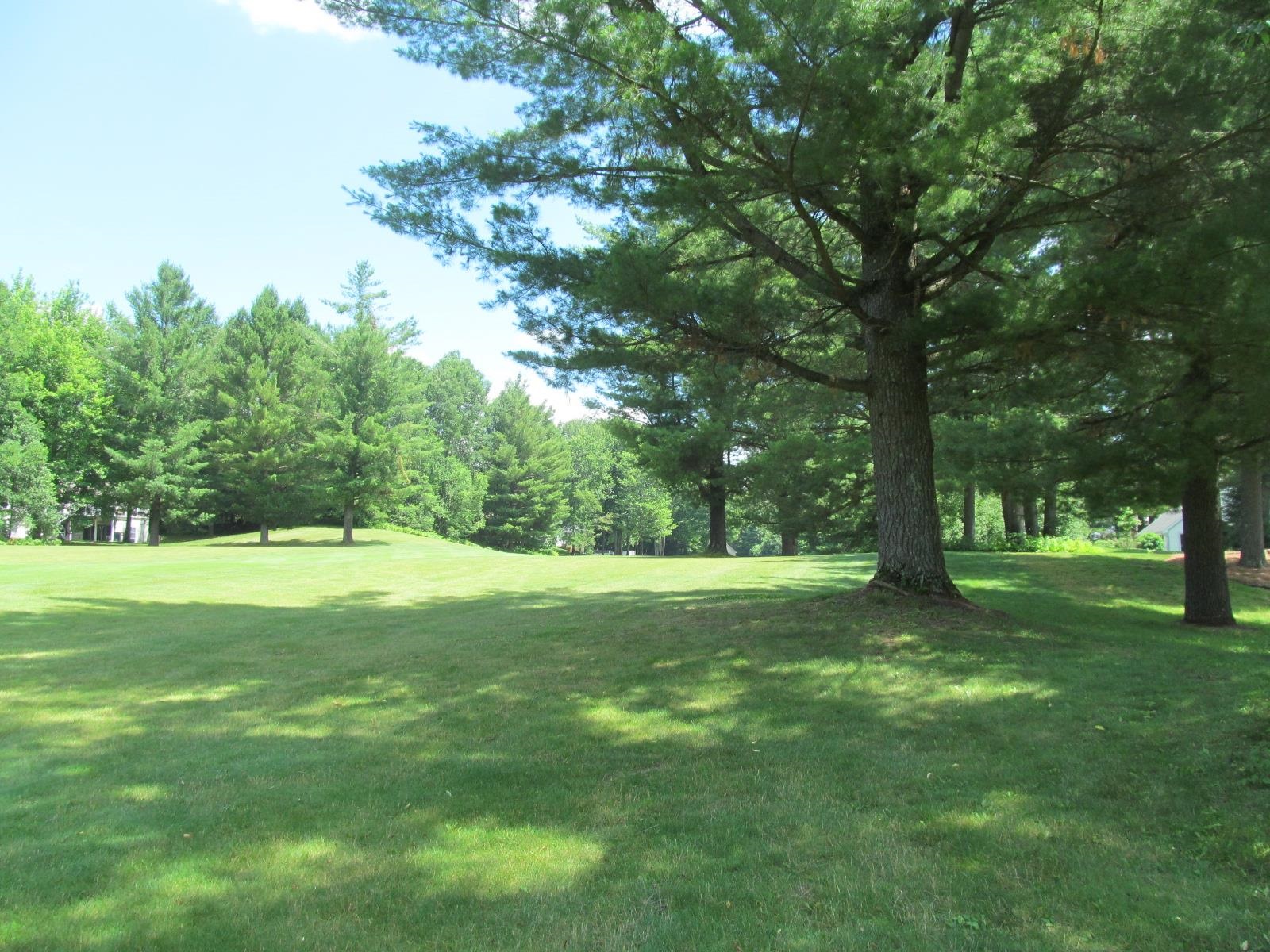Homes for sale in Cherry Grove Township Wexford, MI | Lot 63 White Pine Dr, Cherry Grove Township Wexford, MI 49601 | MLS# 78080070775