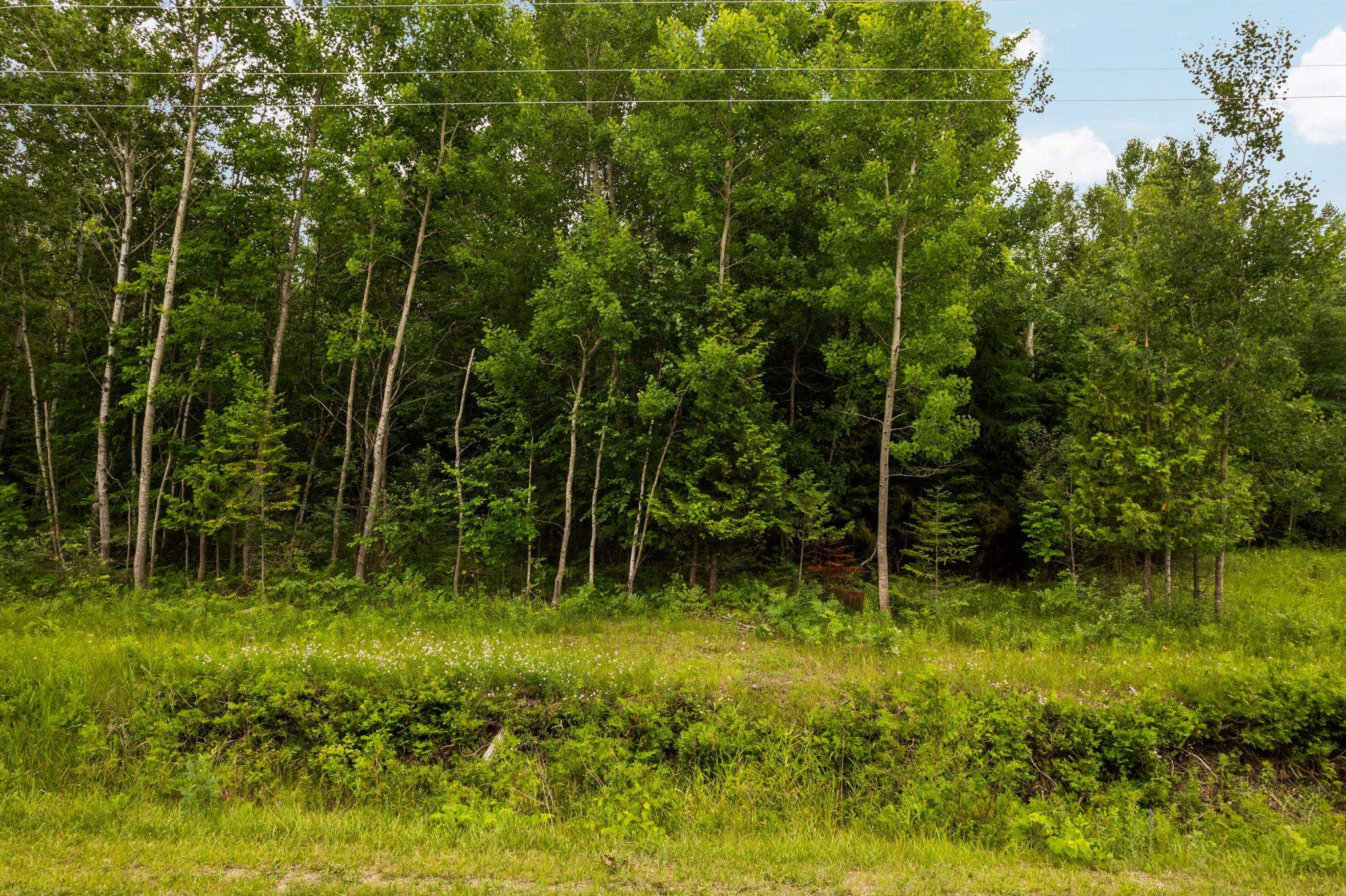 Homes for sale in Kewadin, MI | 00 Creswell Rd, Kewadin, MI 49648 | MLS# 80070827
