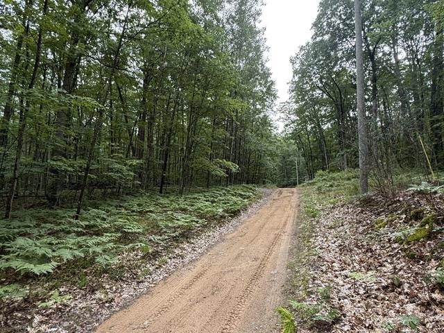 1st image of V/l Beechwood Dr, Lyon Township Roscommon, MI 48653 | MLS# 77080070924