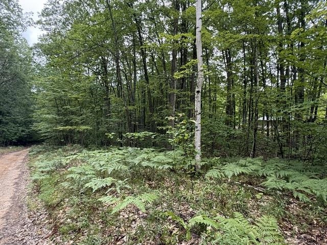 2nd image of V/l Beechwood Dr, Lyon Township Roscommon, MI 48653 | MLS# 77080070924