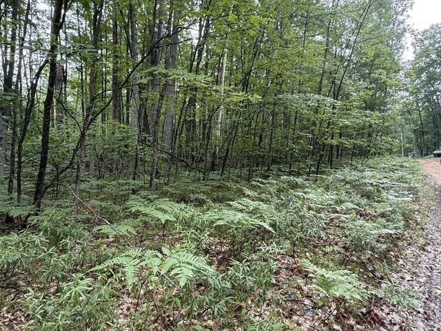 3rd image of V/L Beechwood Dr, Lyon Township Roscommon, MI 48653 | MLS# 77080070924
